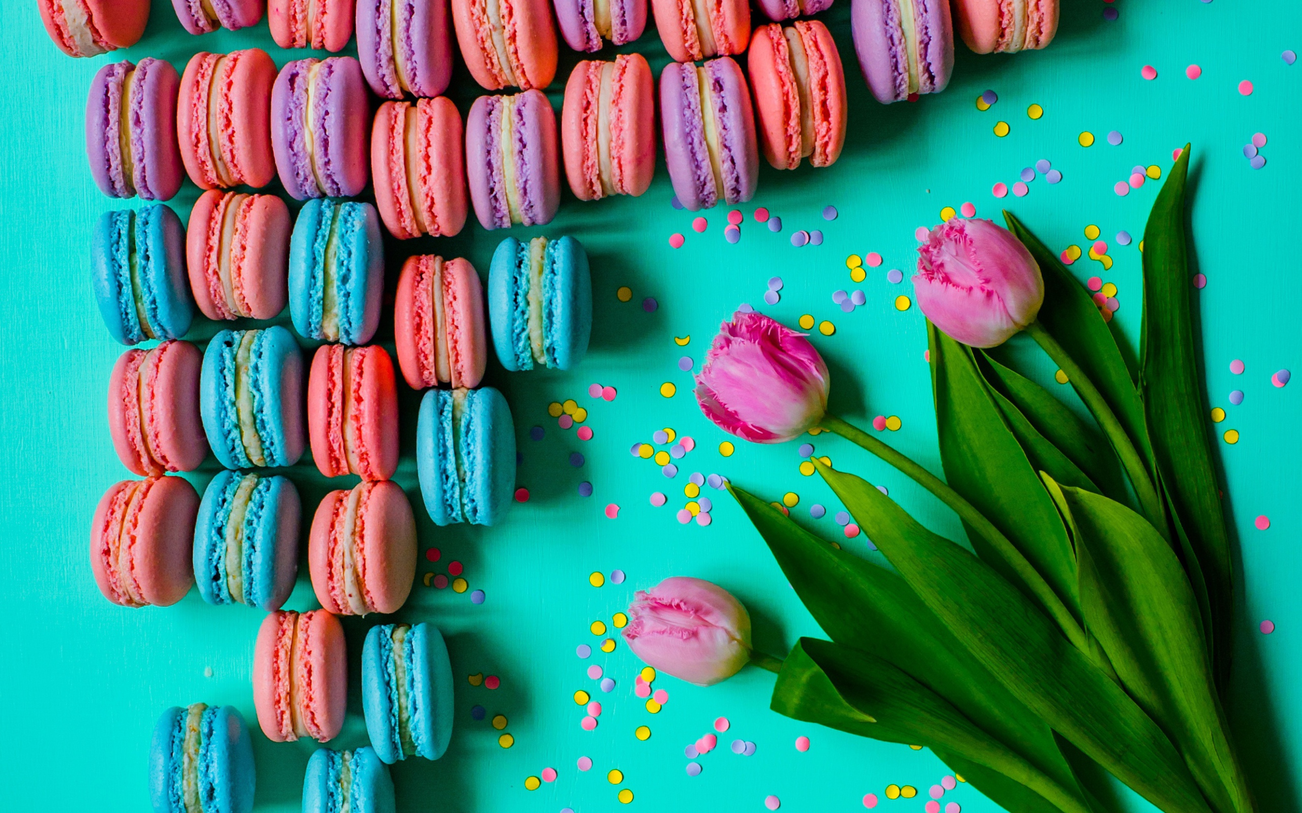 Разноцветные десерты макарун на столе с тюльпанами