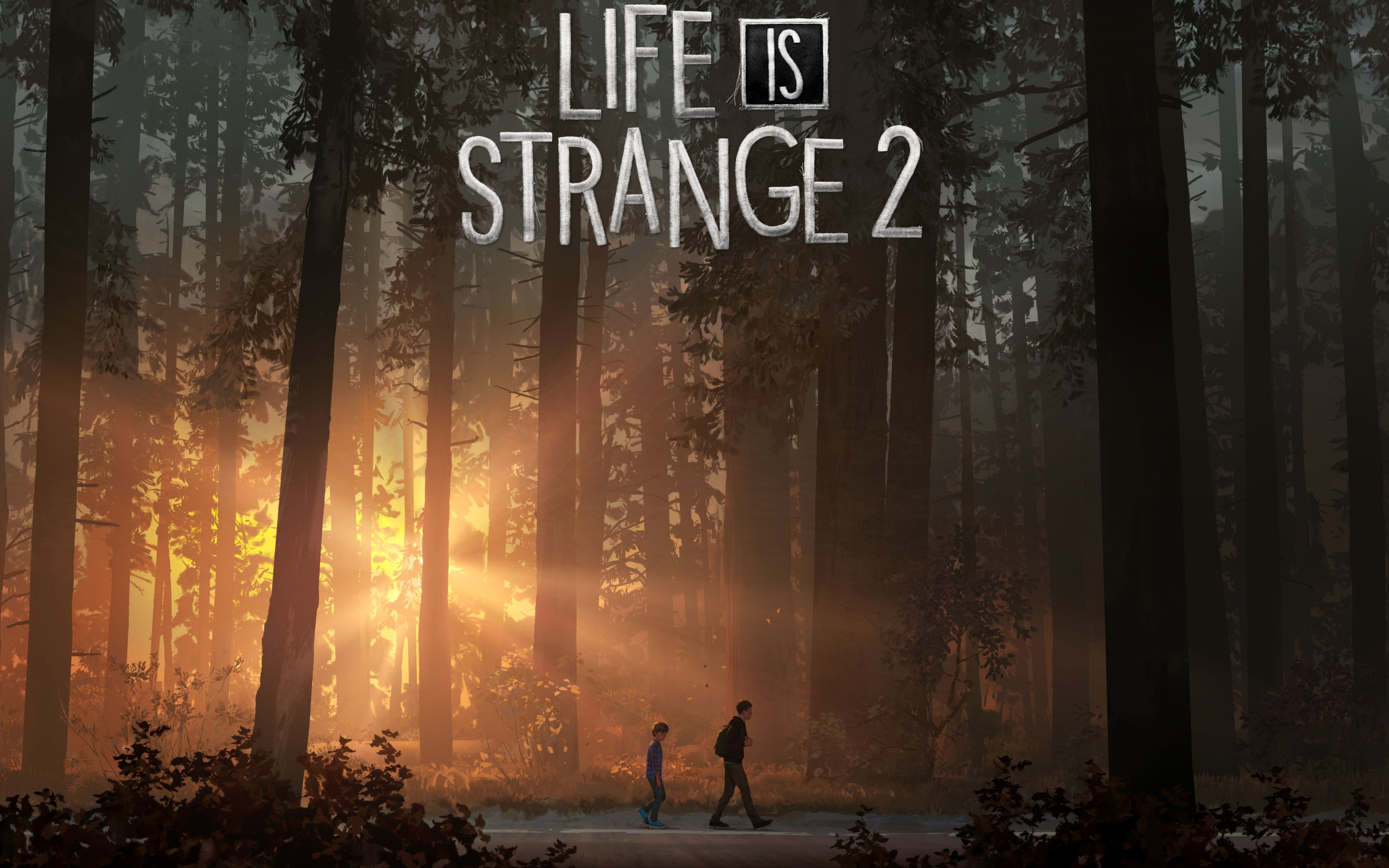 Постер компьютерной игры Life Is Strange 2, 2018