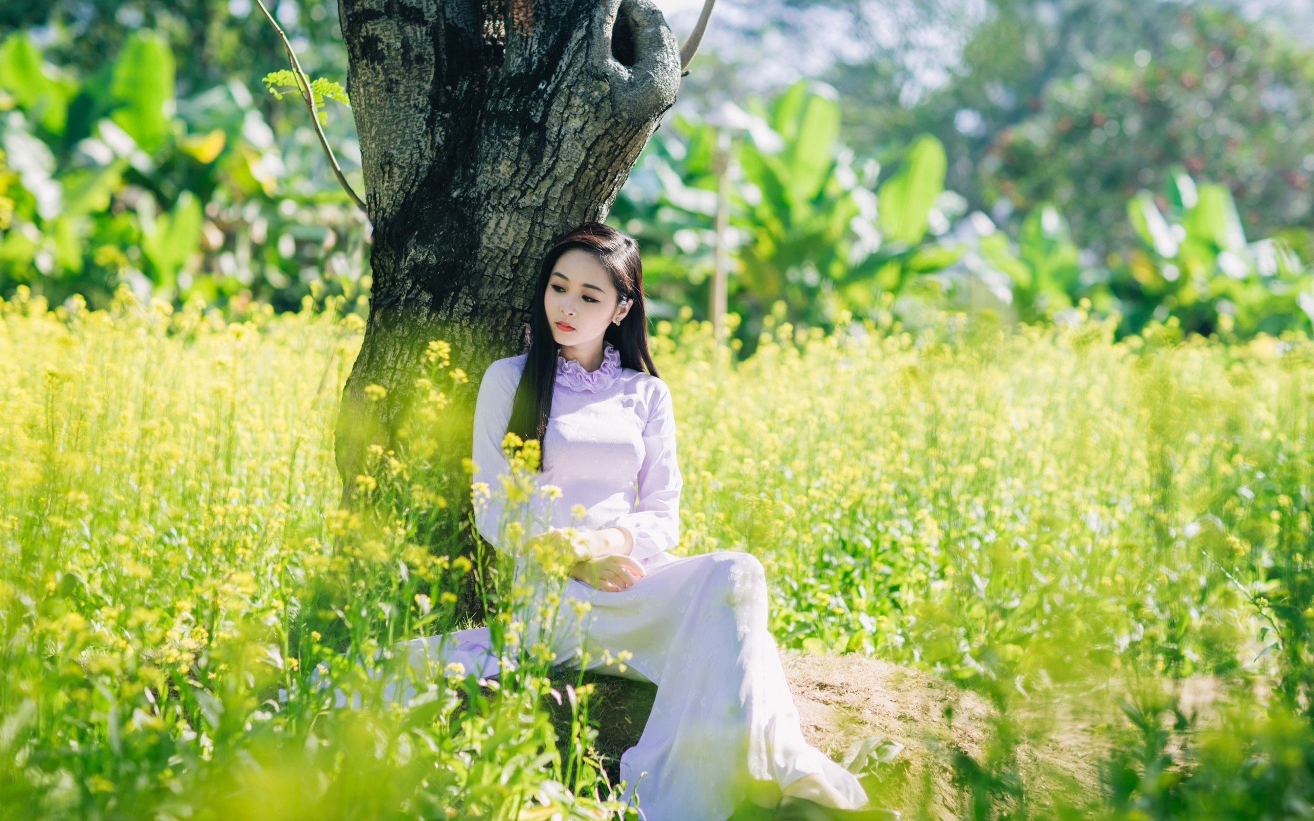 Красивая девушка азиатка сидит в белом платье под деревом