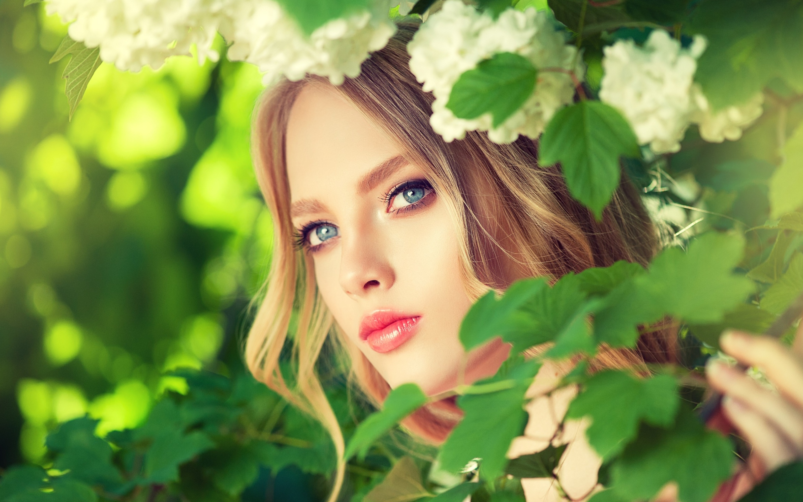 Красивая голубоглазая девушка в белых цветах 