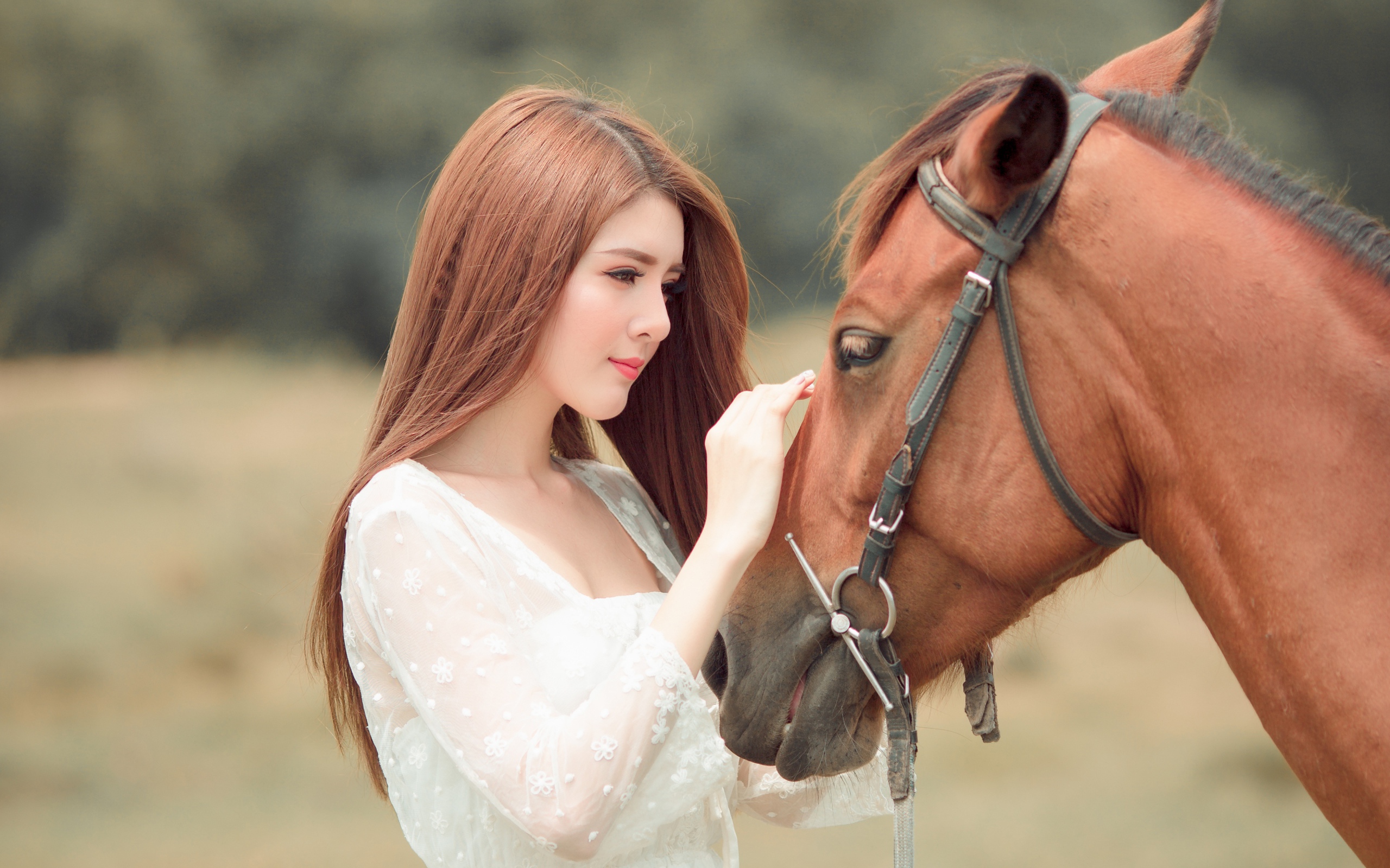 Красивая длинноволосая азиатка гладит лошадь