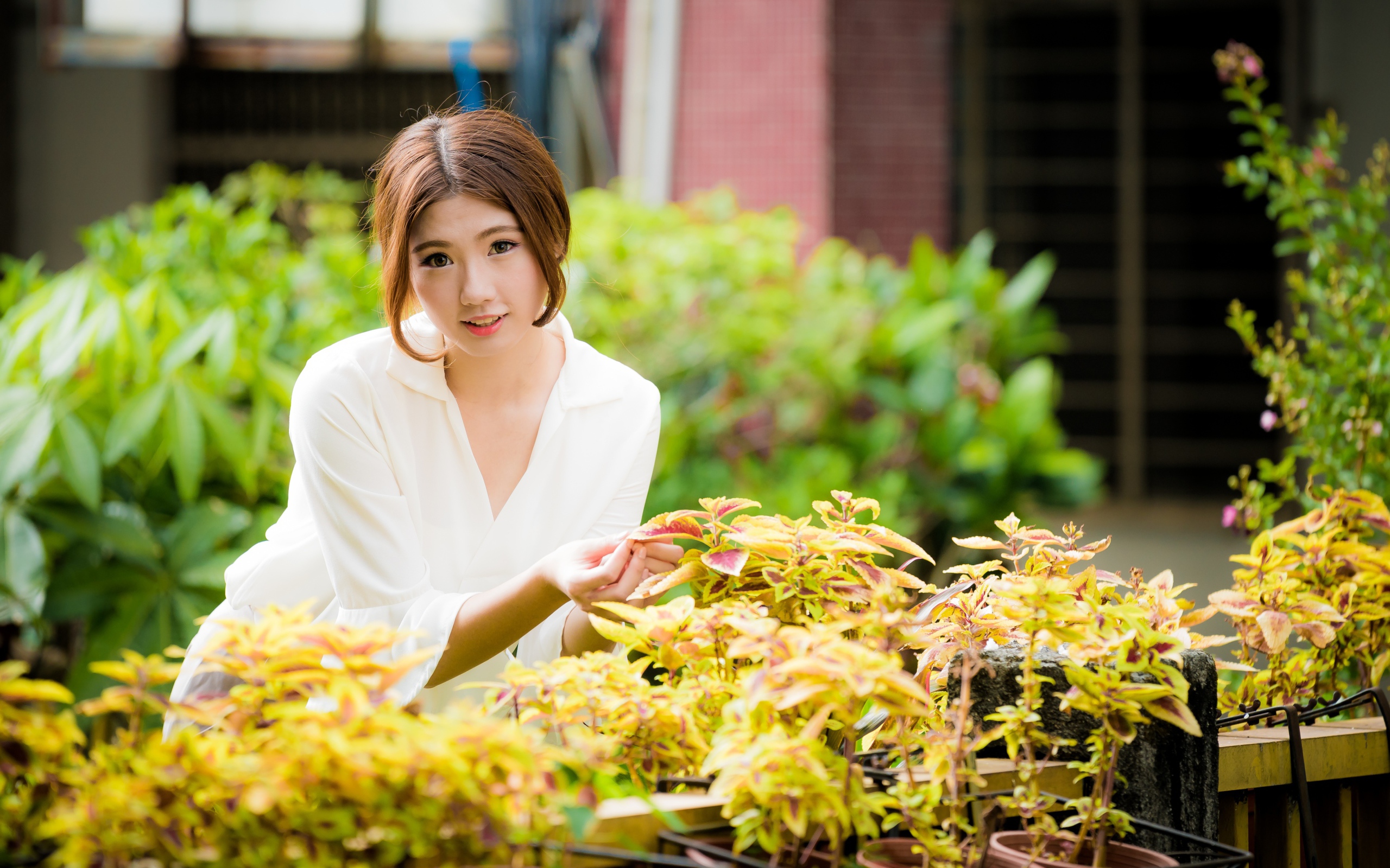 Молодая девушка азиатка с комнатными цветами