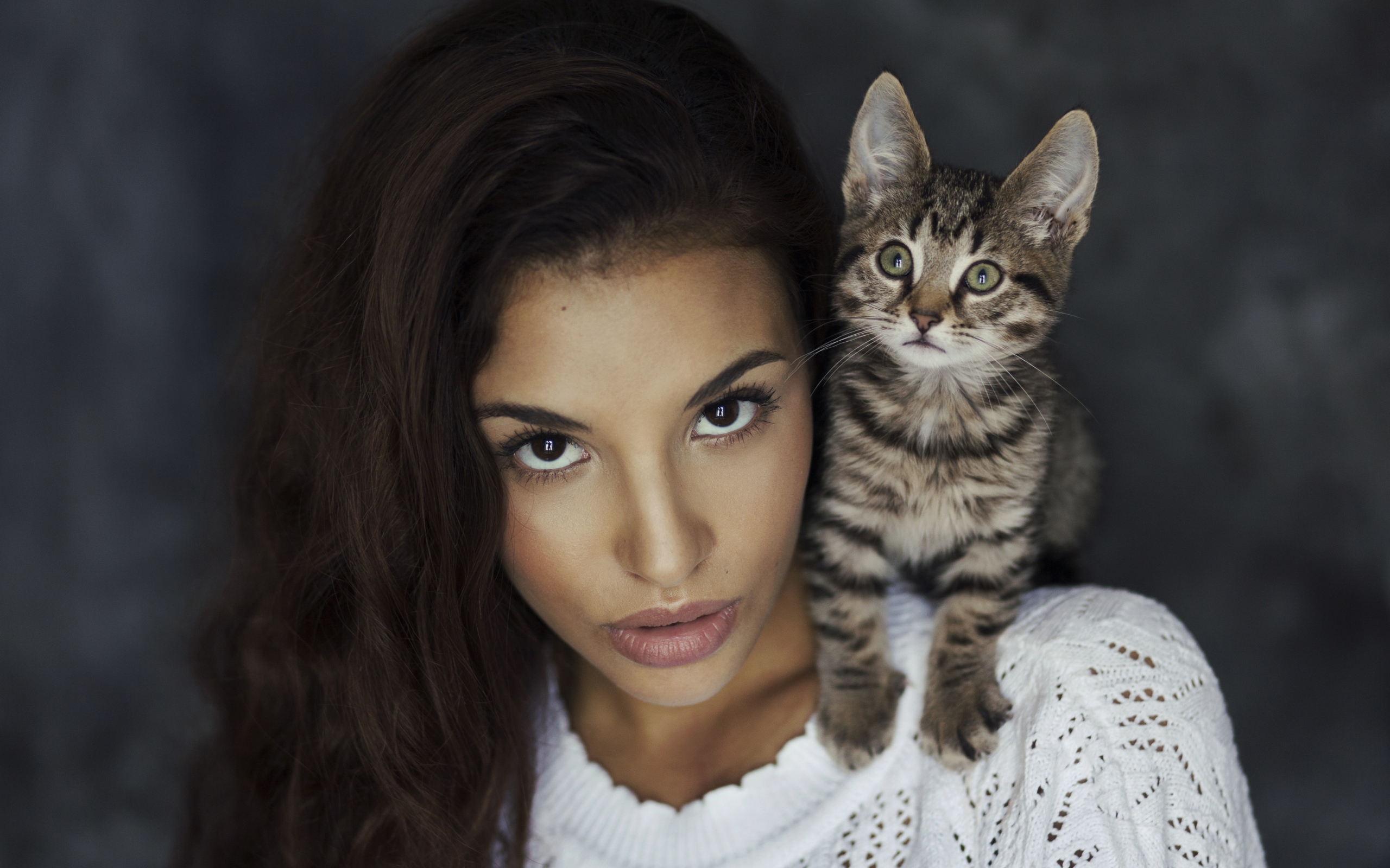 Молодая красивая девушка с серым котенком на плече