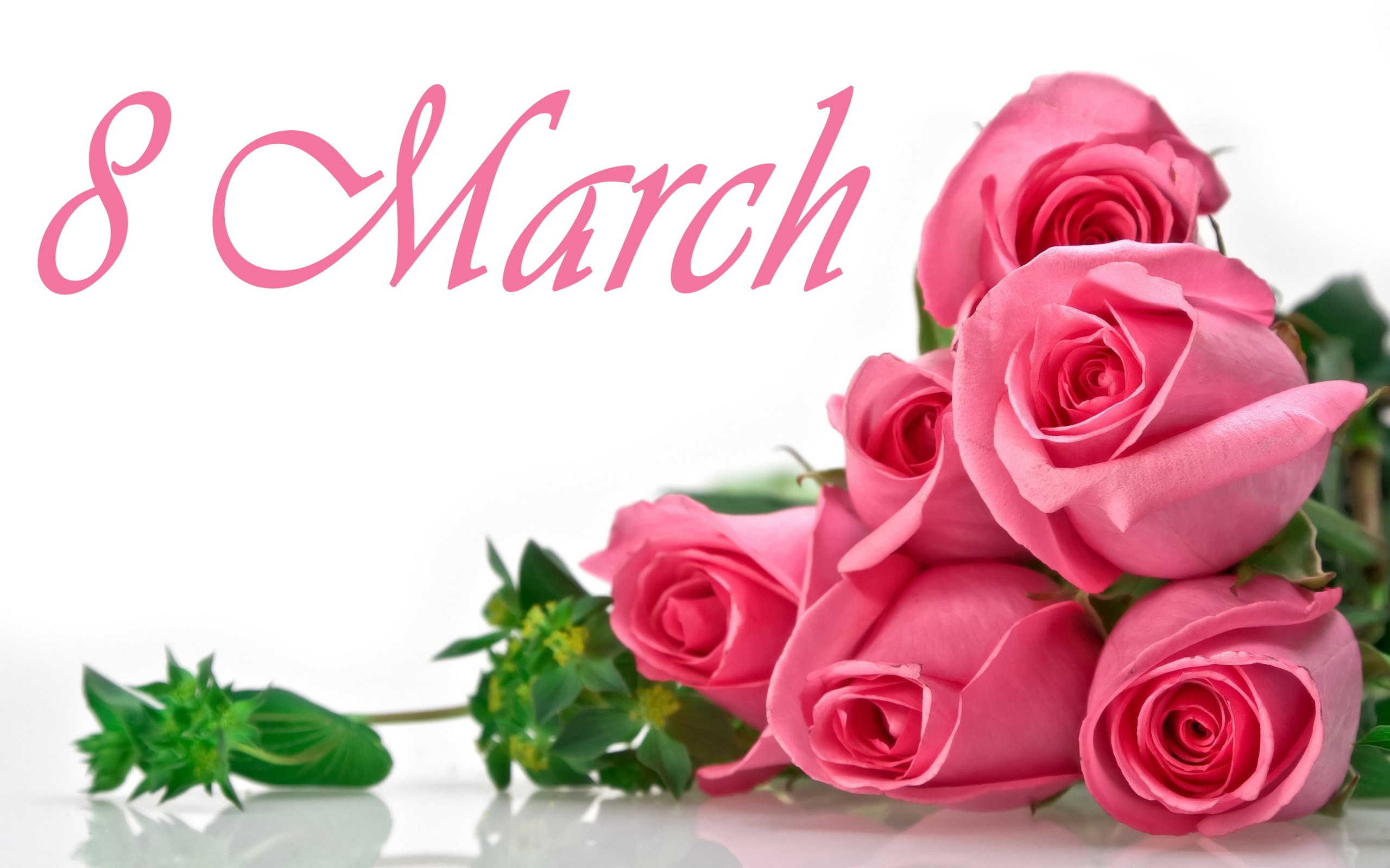 Букет розовых роз на белом фоне на 8 марта
