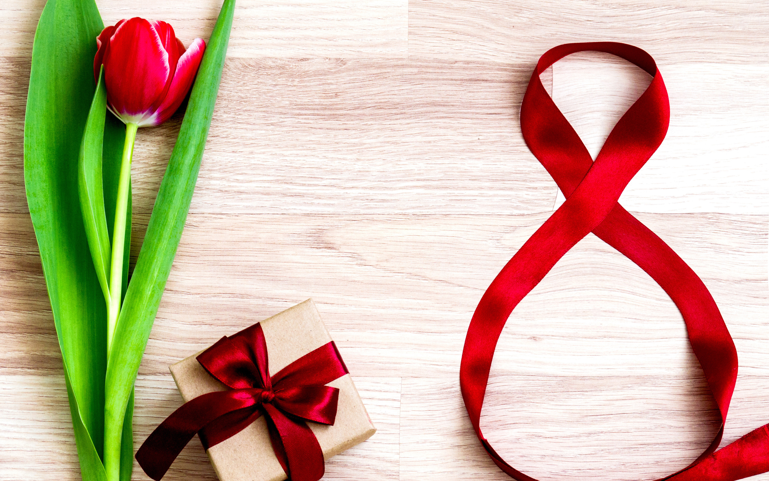 Тюльпан и подарок с лентой на Международный женский день 8 марта