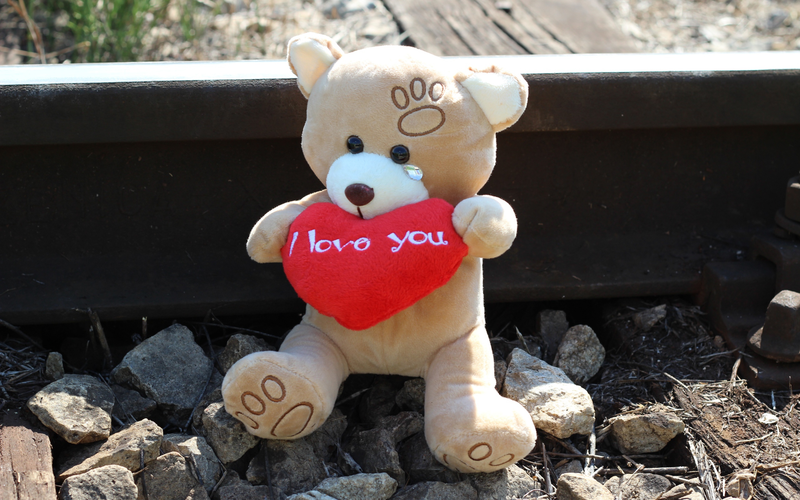 Игрушечный медведь с красным сердцем сидит на рельсах 