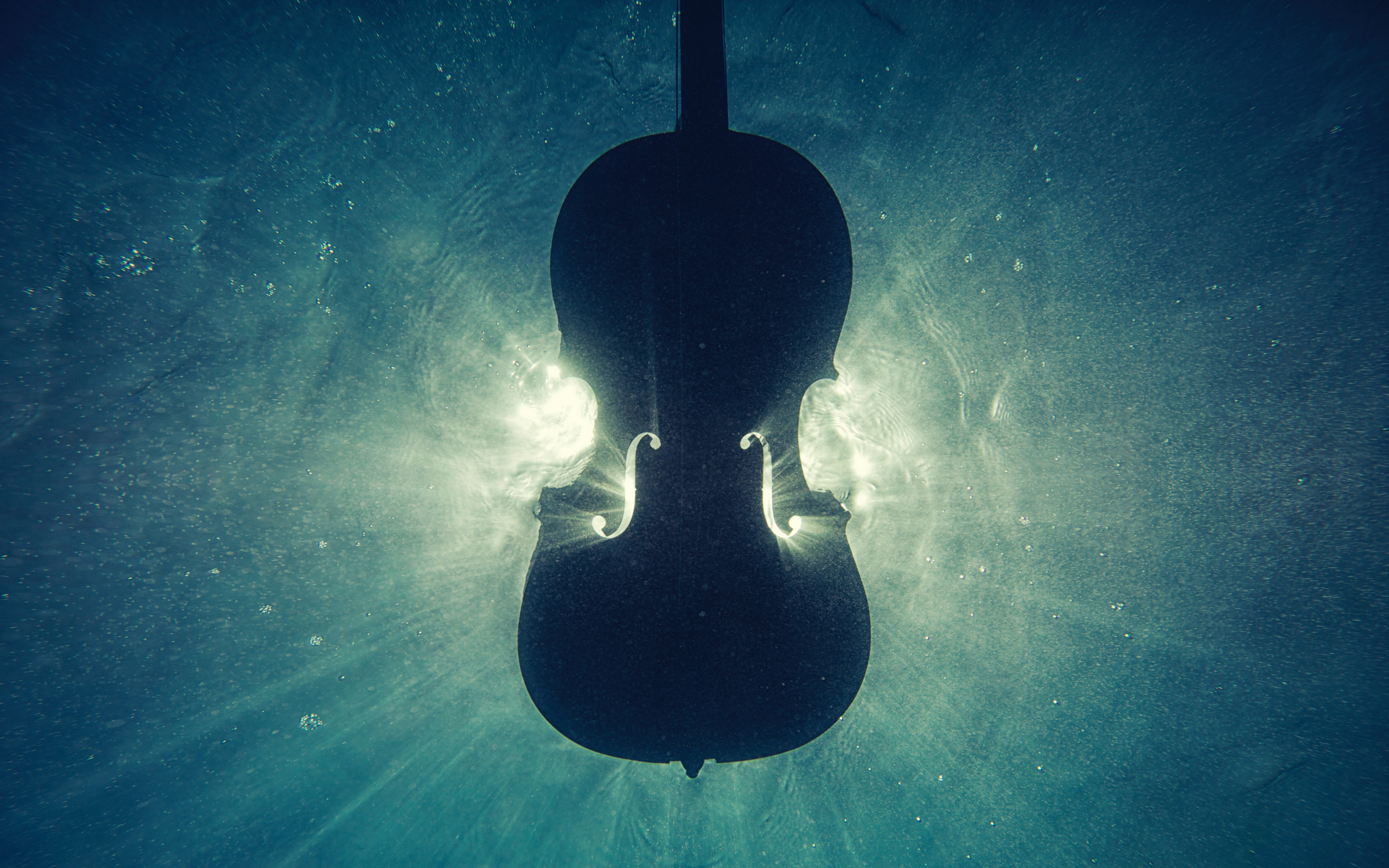 Скрипка тонет в воде