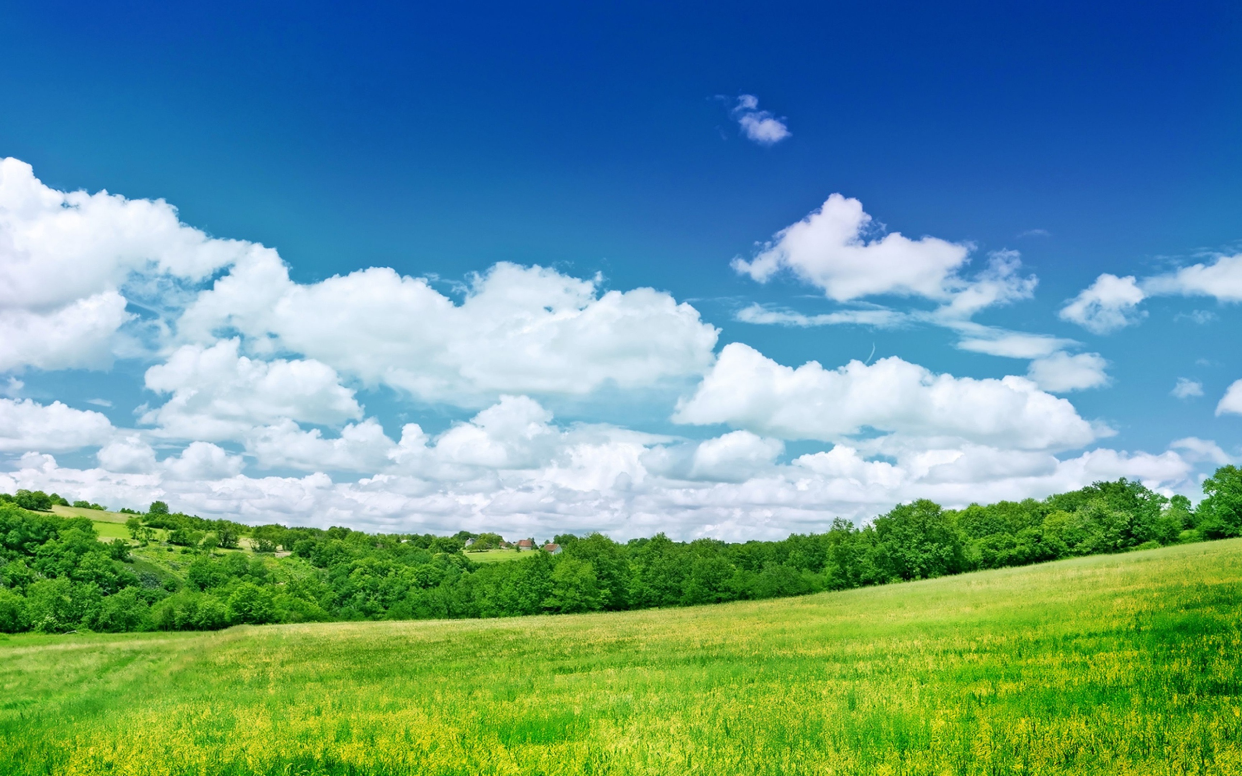 Blue sky with white clouds over green field Desktop wallpapers 2560x1600