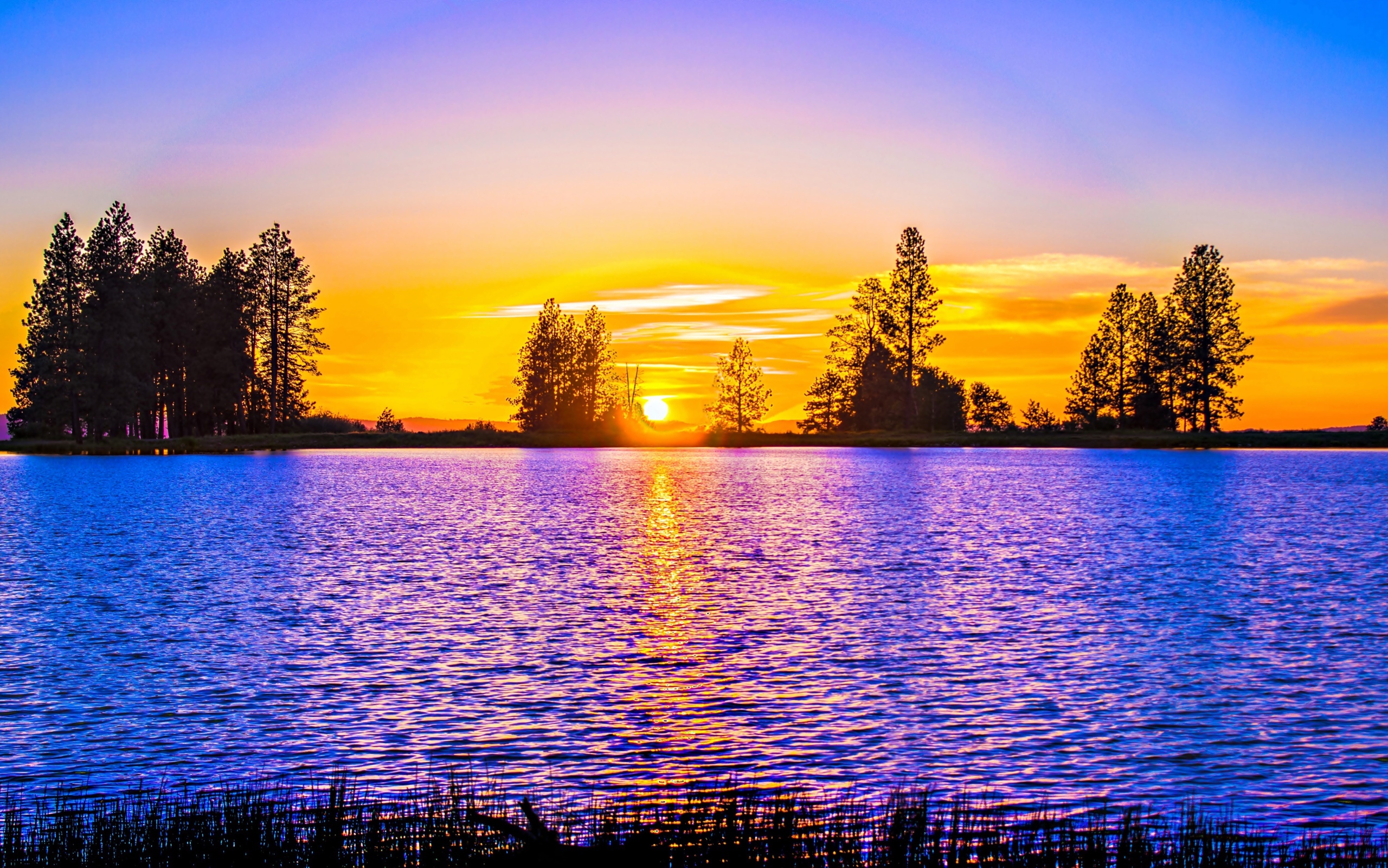 Рассвет яркого солнца над рекой