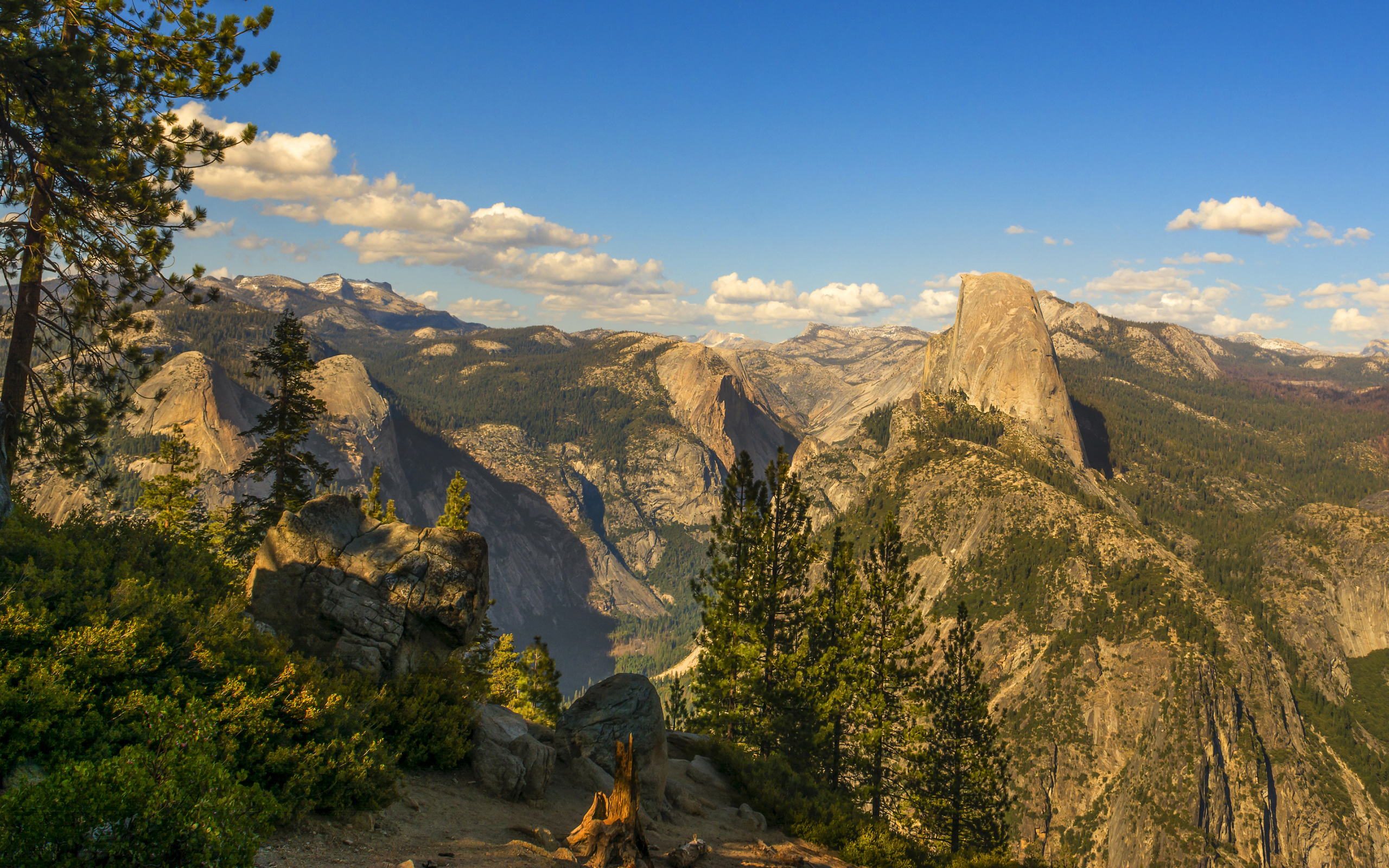 Покрытые лесом горы под голубым небом 