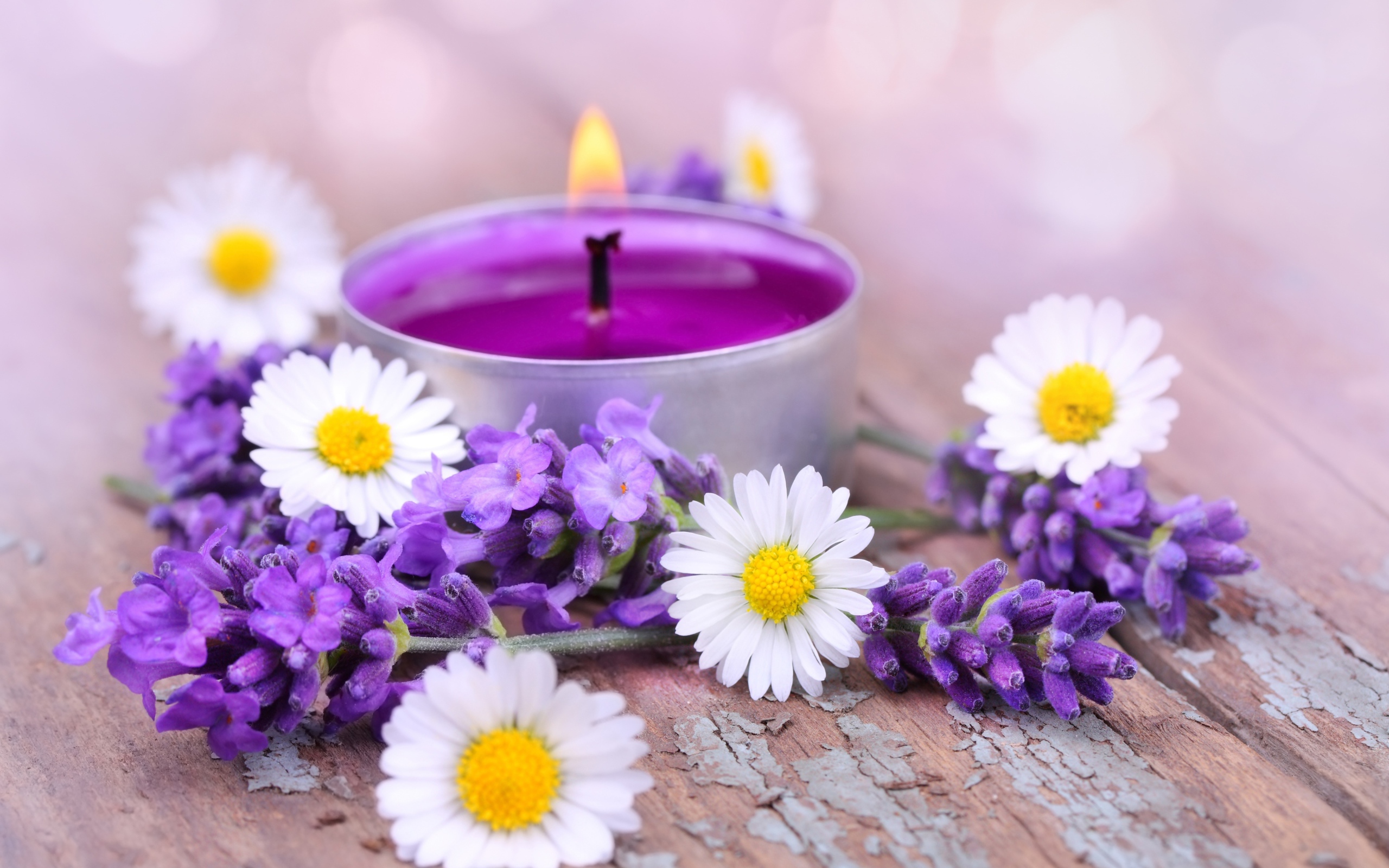 Зажженная свеча с цветами ромашки и лаванды