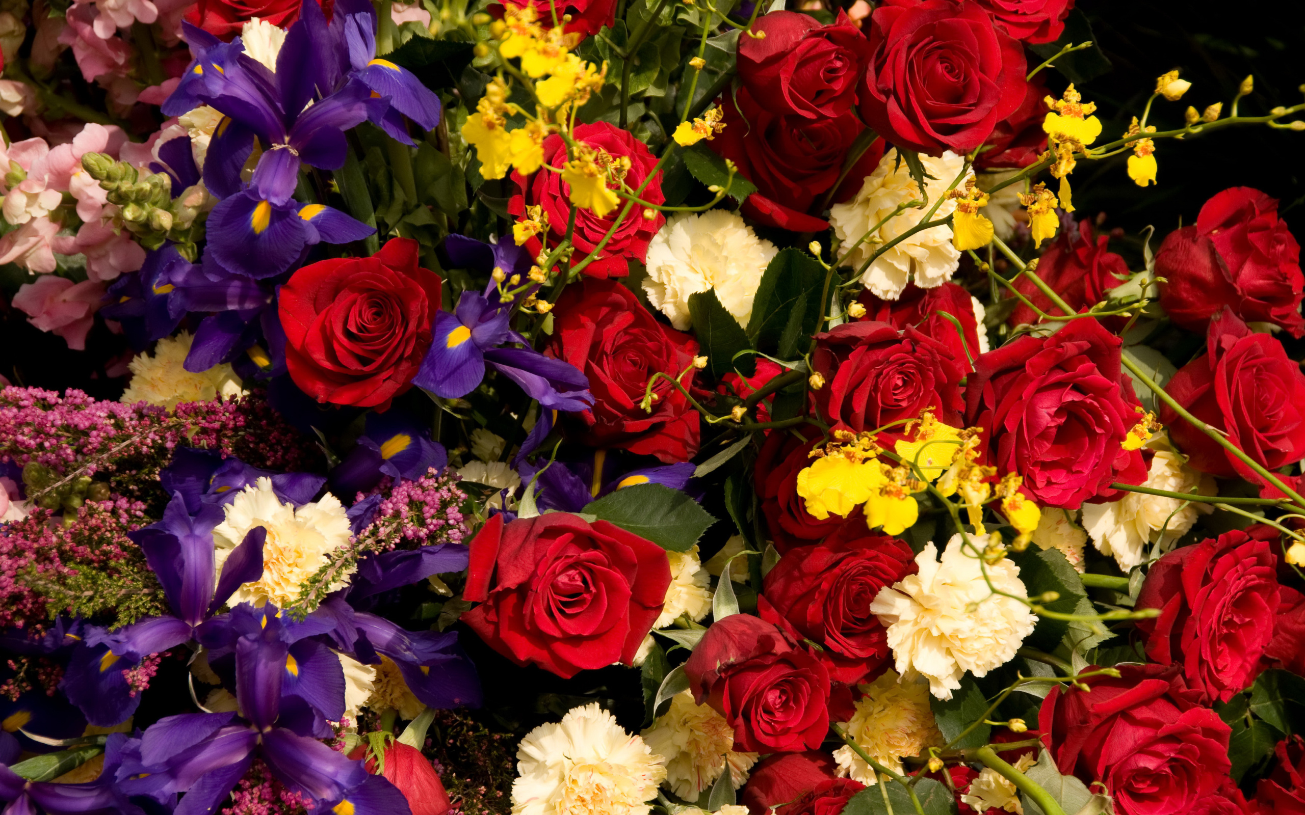 Розы, ирисы, гвоздики, орхидеи крупным планом