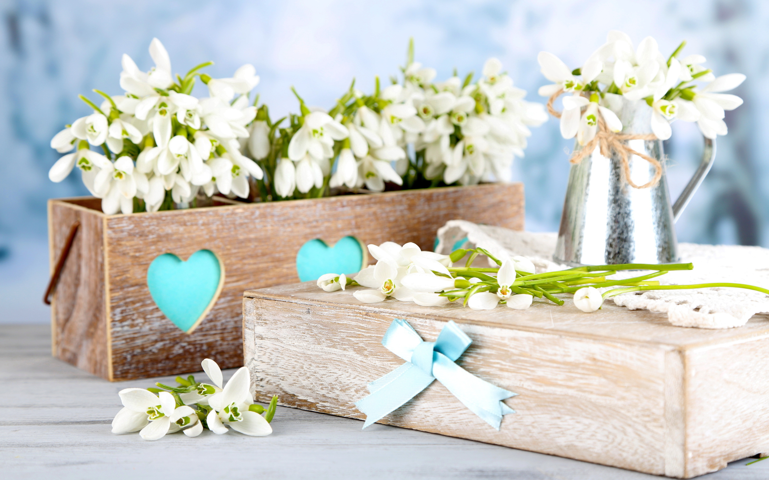 Красивые нежные белые подснежники в деревянном ящике