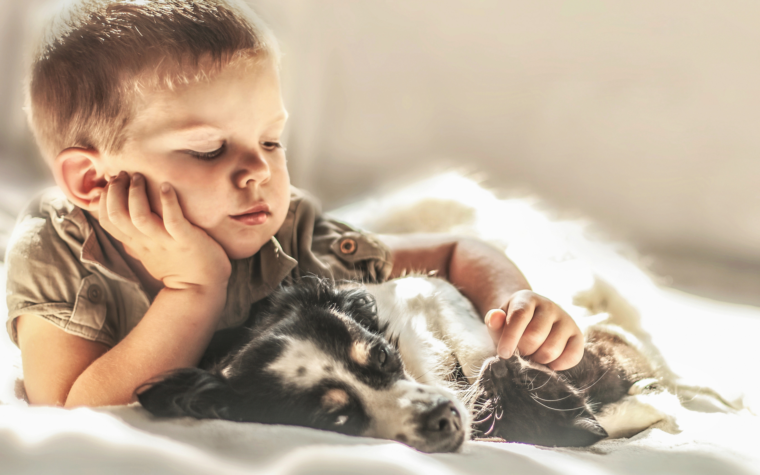 Маленький мальчик лежит с собакой и котом