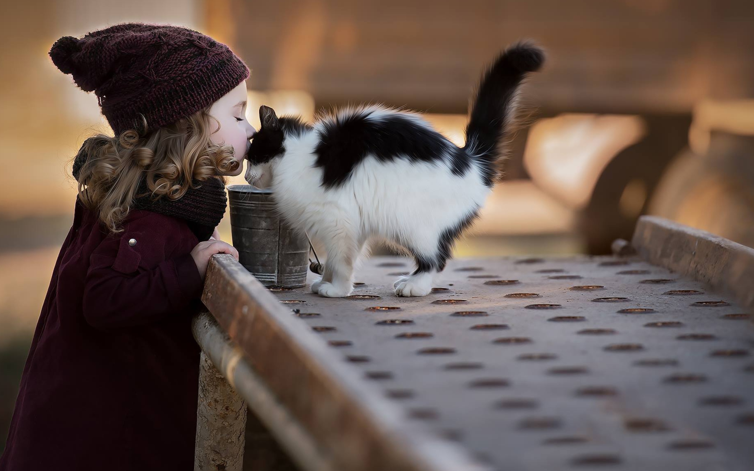 Маленькая девочка целует котенка 