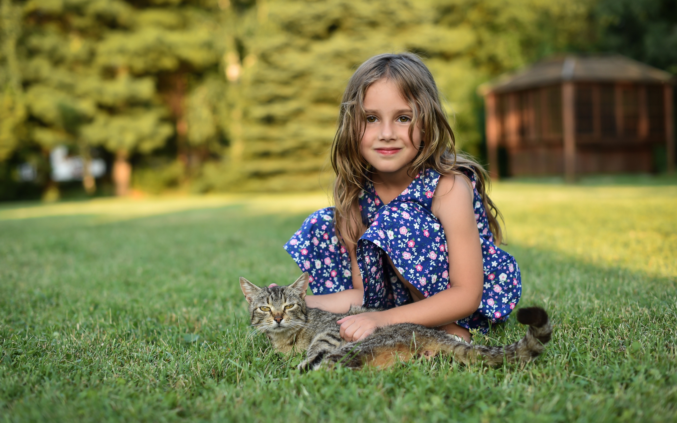 Маленькая девочка сидит на зеленой траве с серым котом