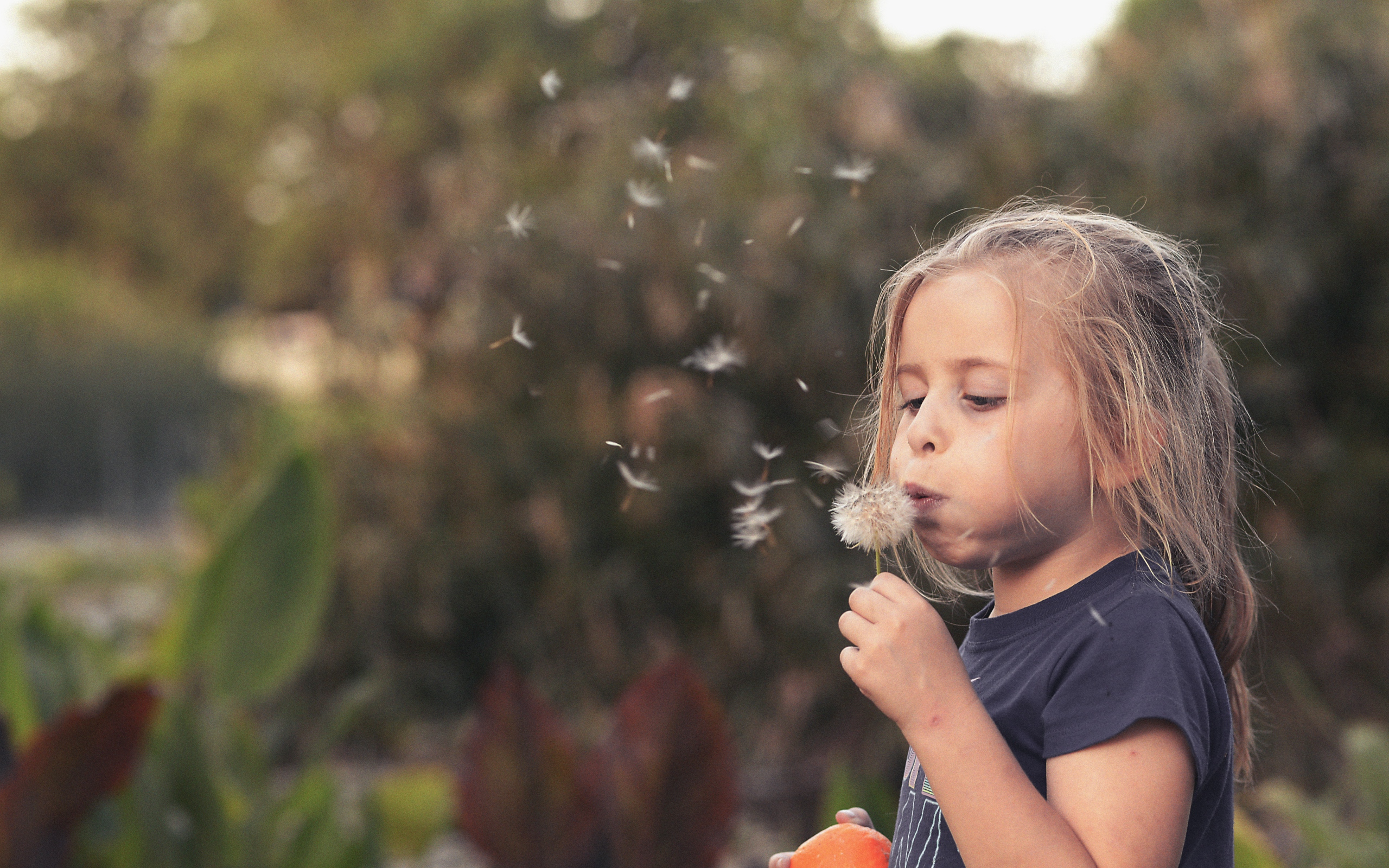 Маленькая девочка с одуванчиком в руках 