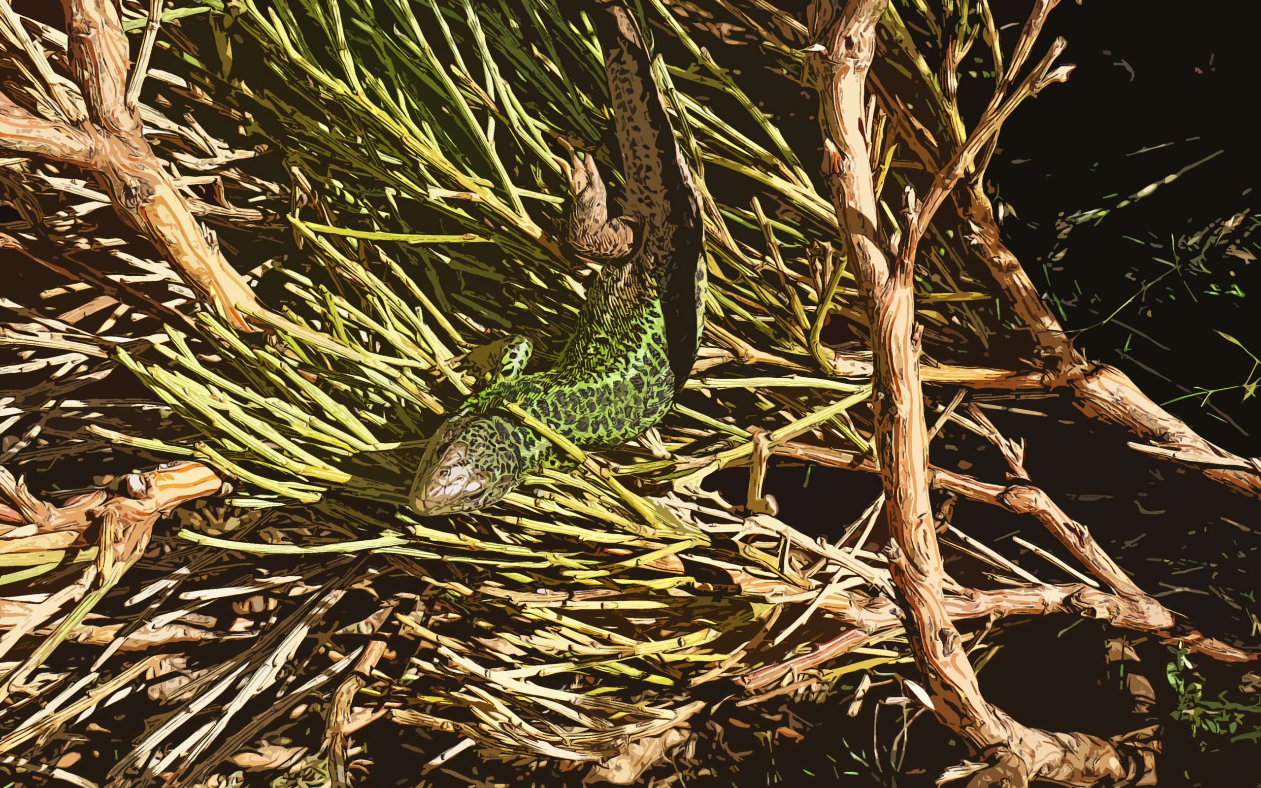 Зеленая ящерица в ветках 