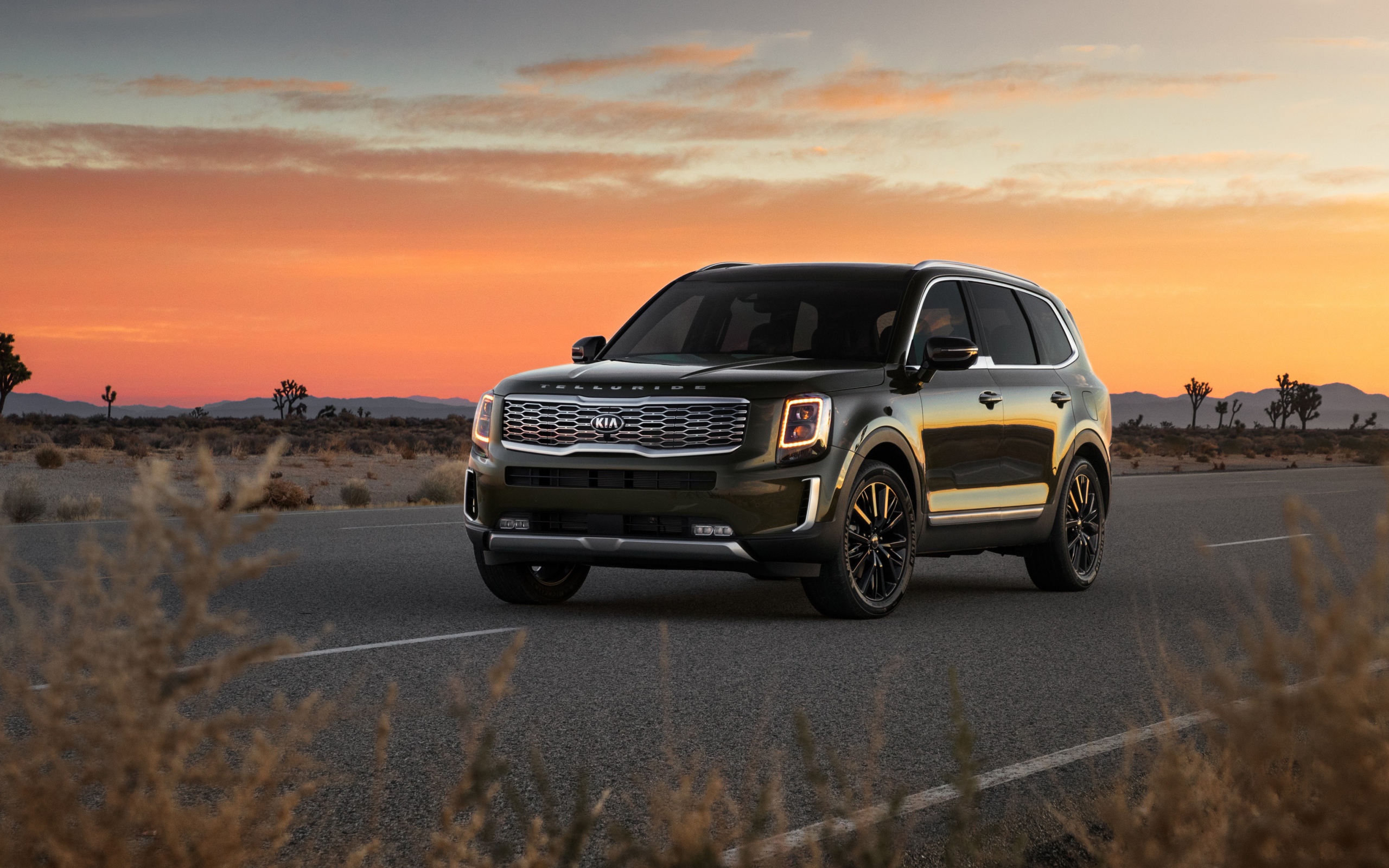 Черный внедорожник Kia Telluride, 2020 года на фоне заката 