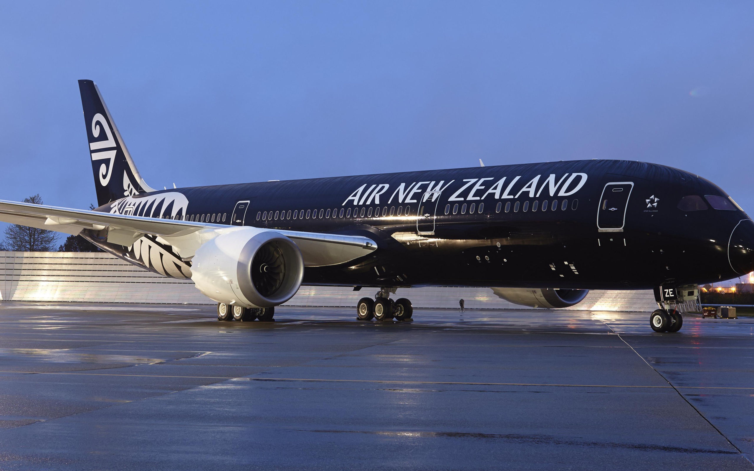 Air New Zealand plane at the airport