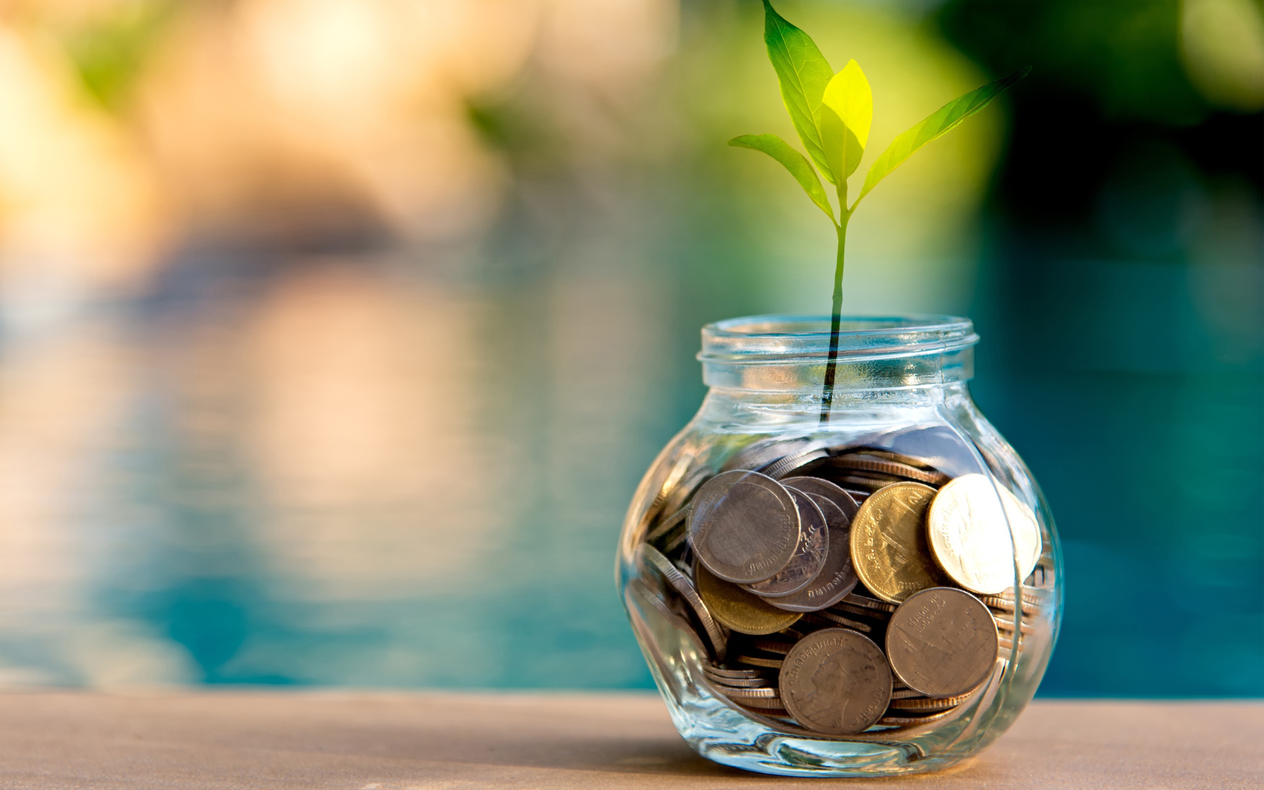 Зеленый росток прорастает из копилки 