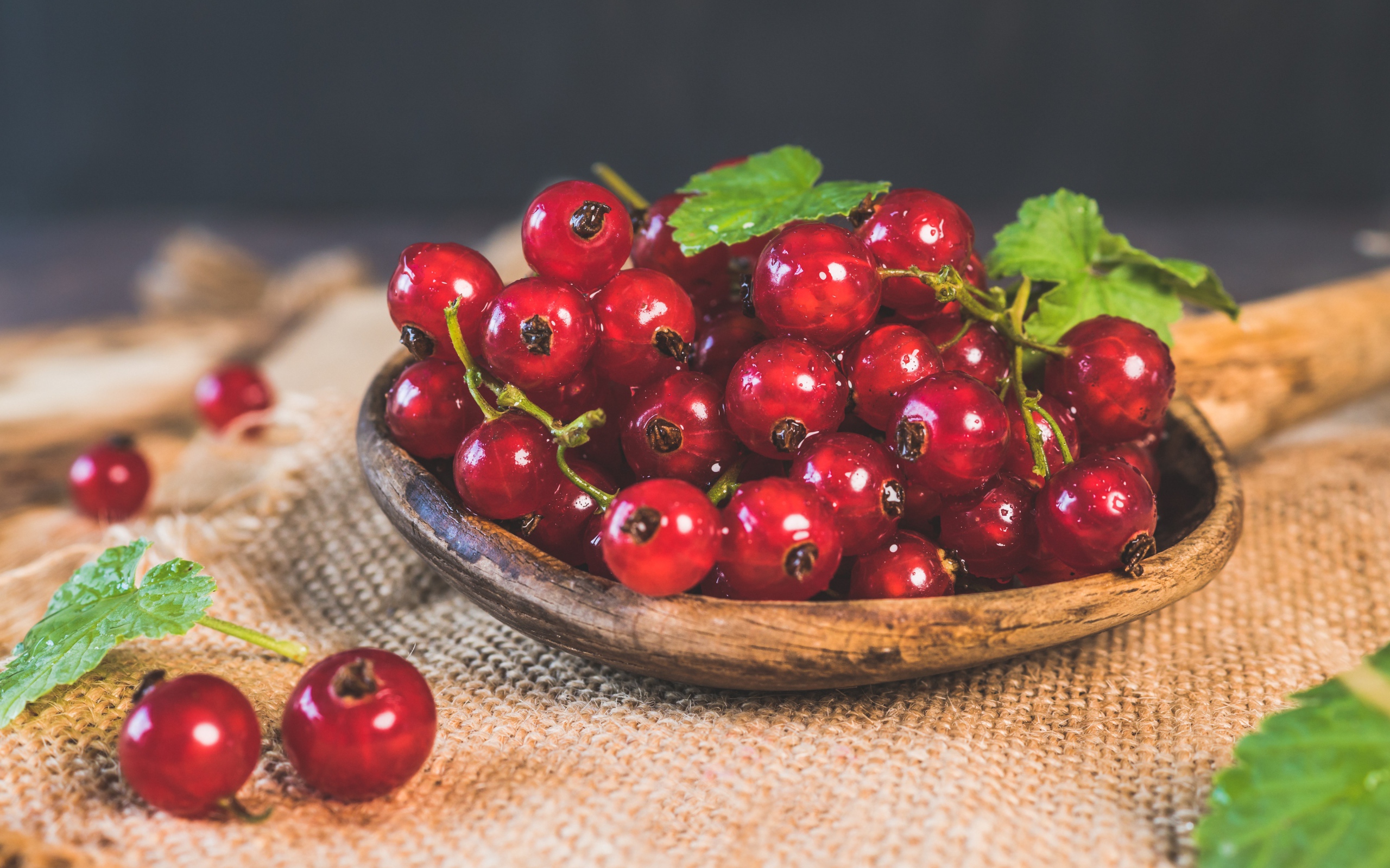 Красивая спелая красная смородина 