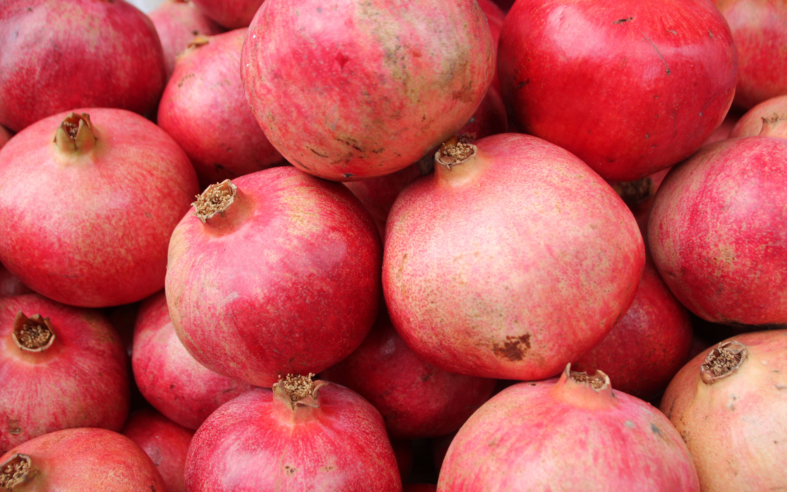 Много красных плодов граната крупным планом