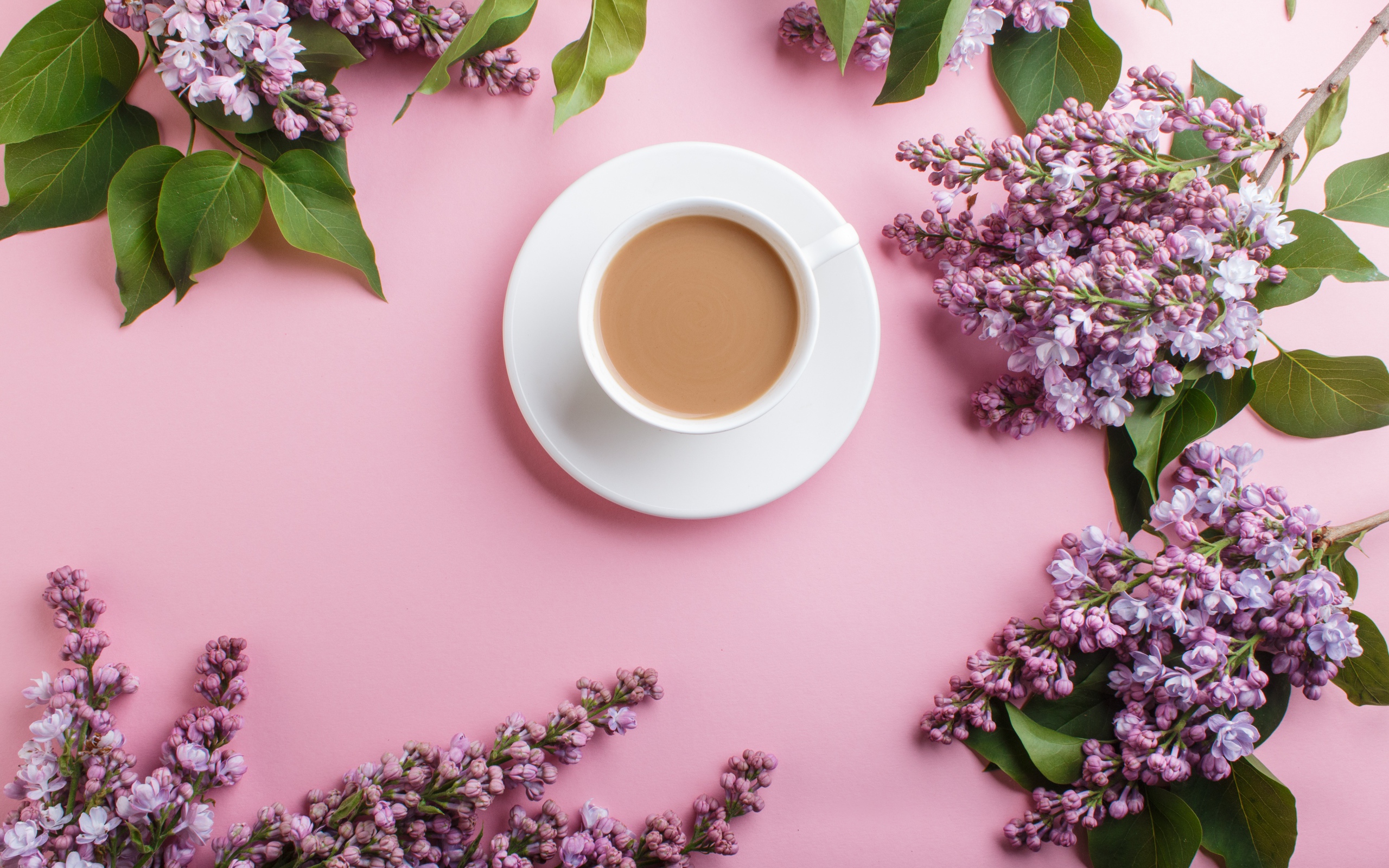 Белая чашка с какао на розовом фоне с цветами сирени