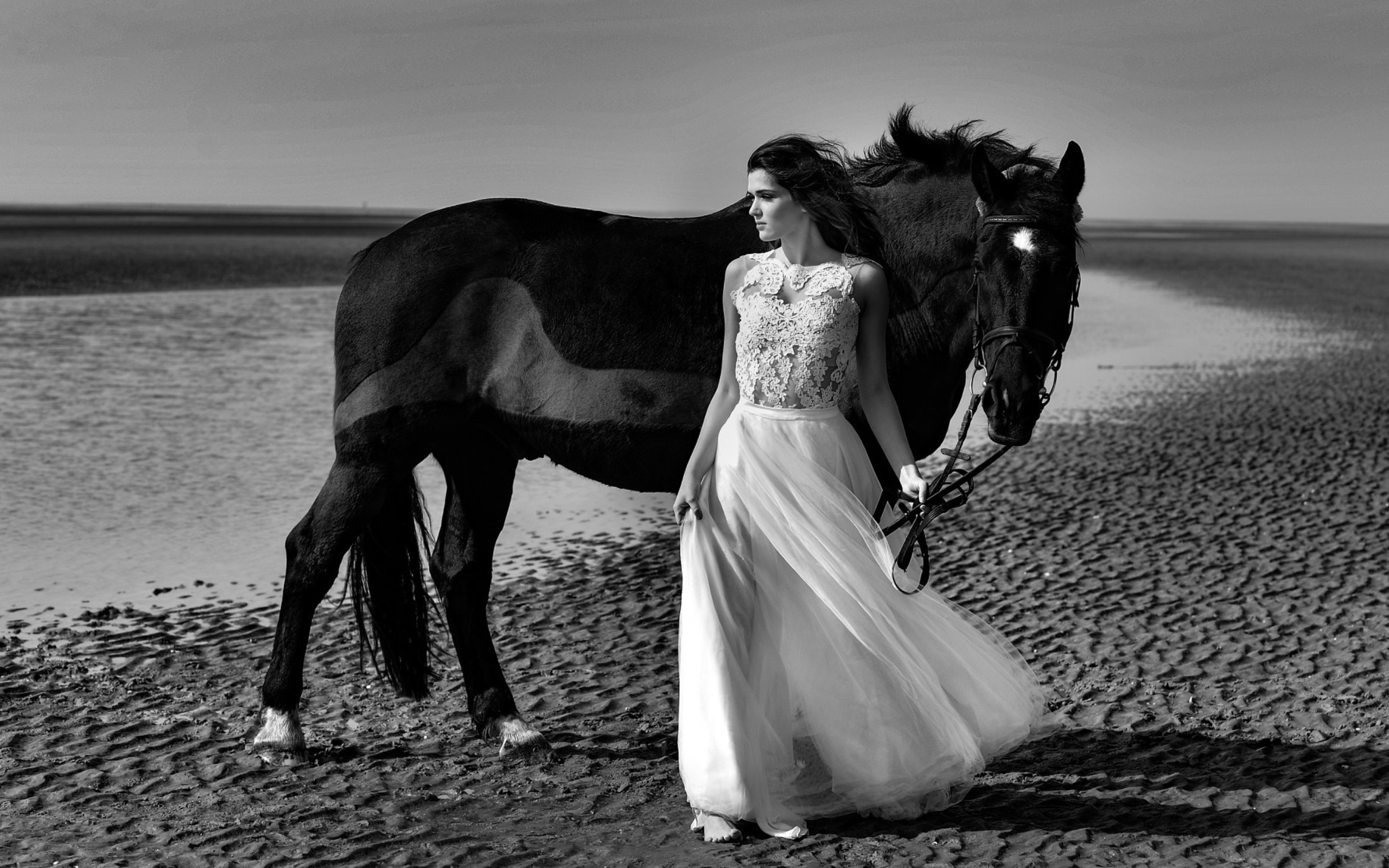 Красивая девушка в свадебном платье с лошадью на берегу моря