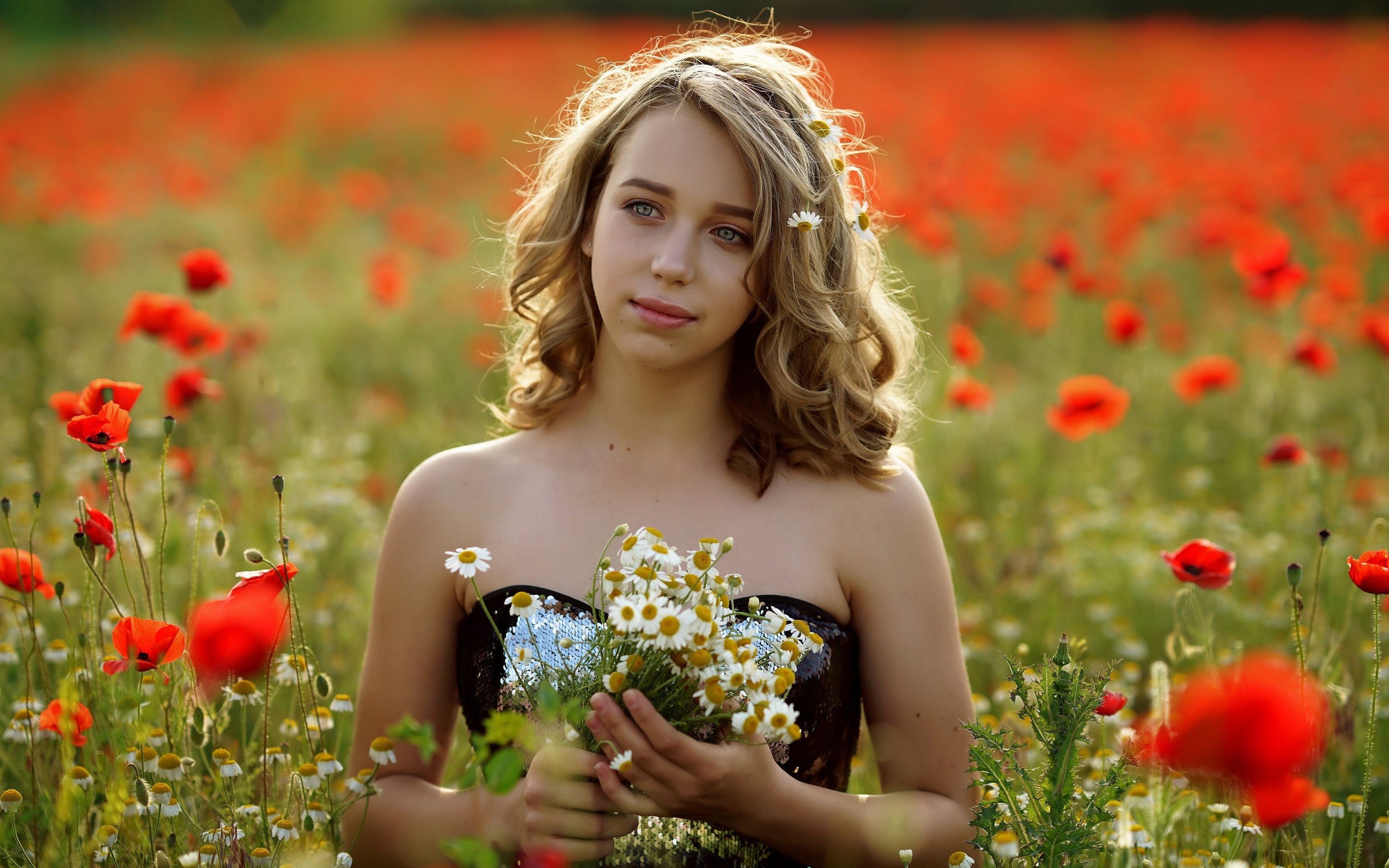 Красивая девушка с букетом ромашек на поле с маками