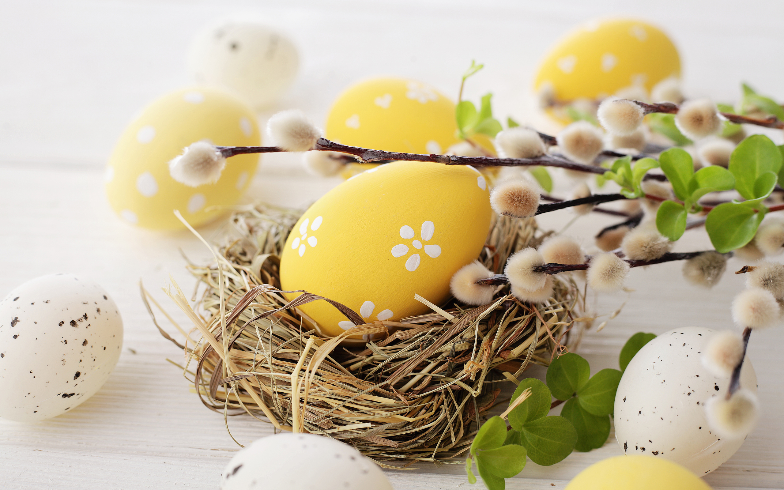 Ветка вербы с крашеными яйцами к празднику Пасха