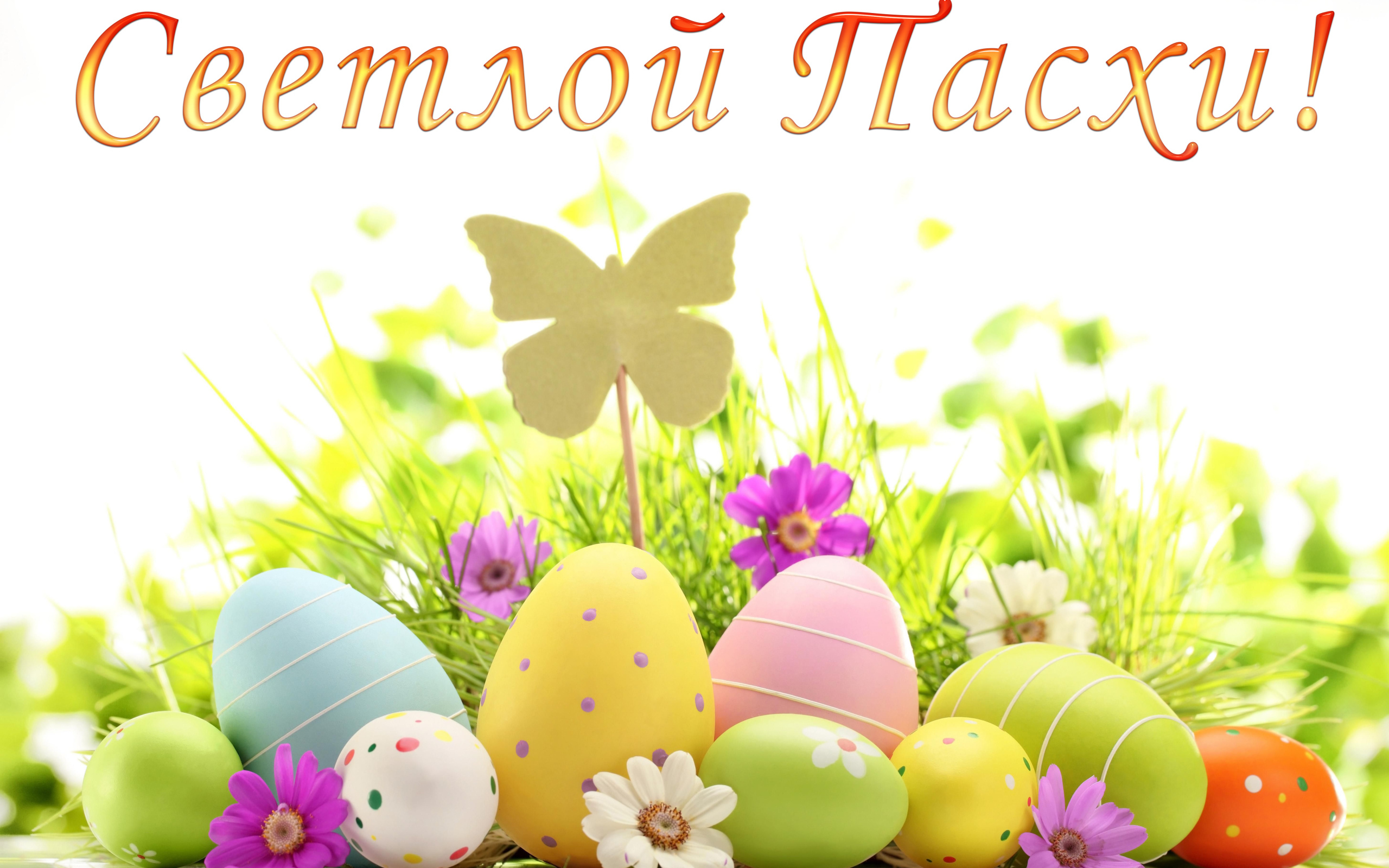 Открытка Светлой Пасхи с крашеными яйцами