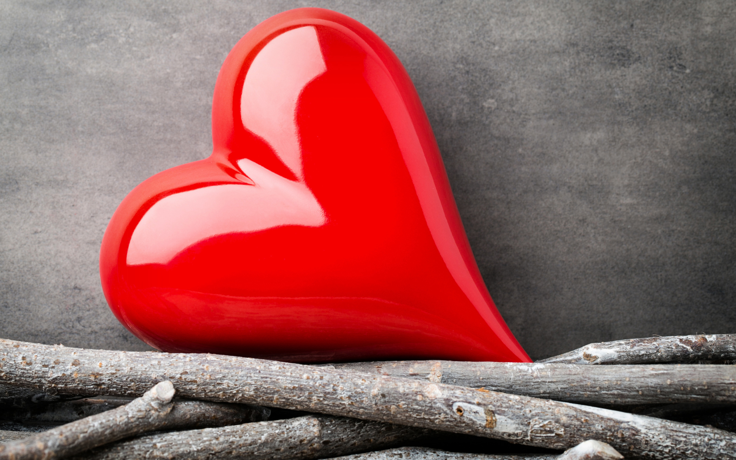 Большое красное сердце лежит на ветках на фоне серой стены