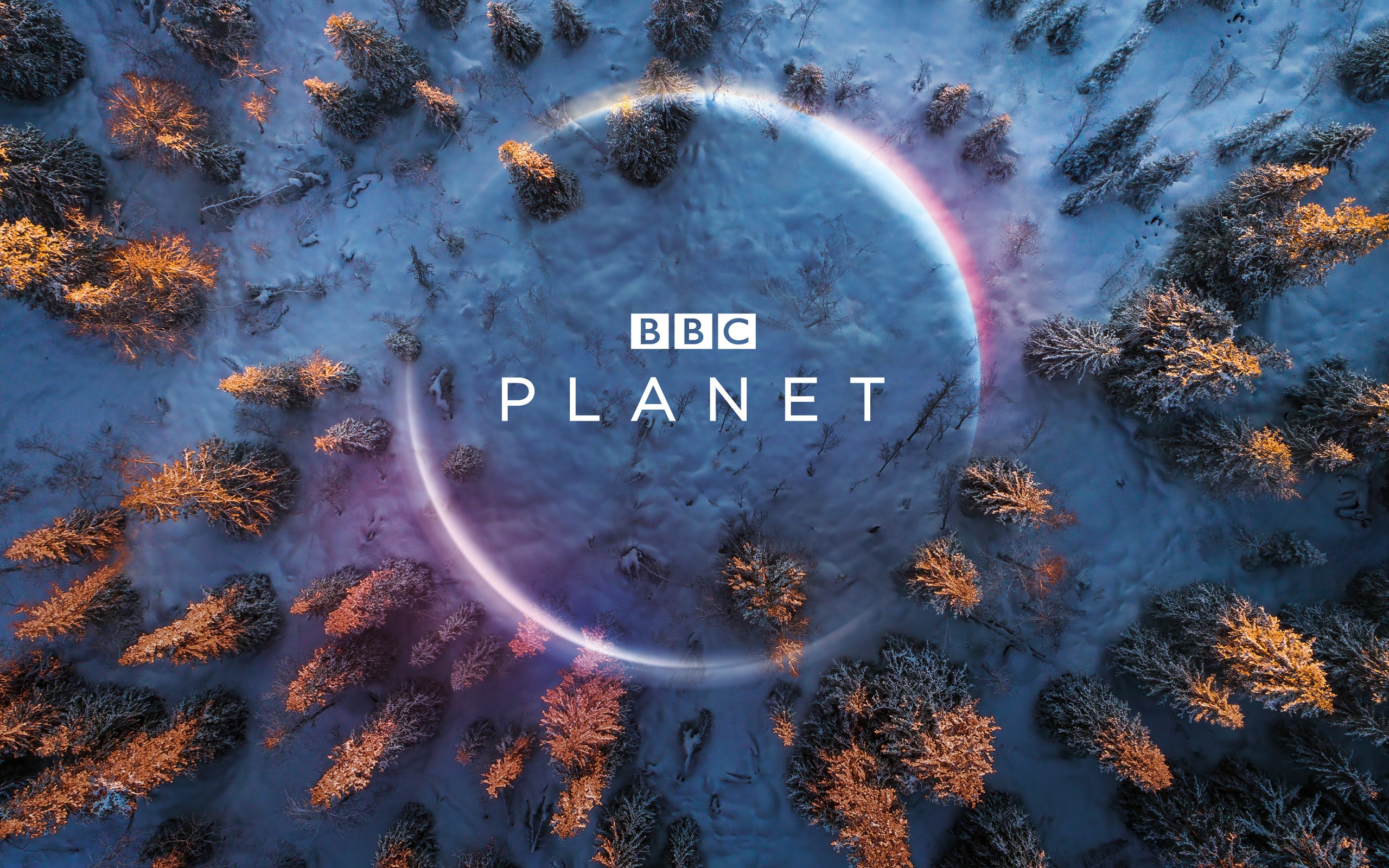 Постер программы BBC Planet