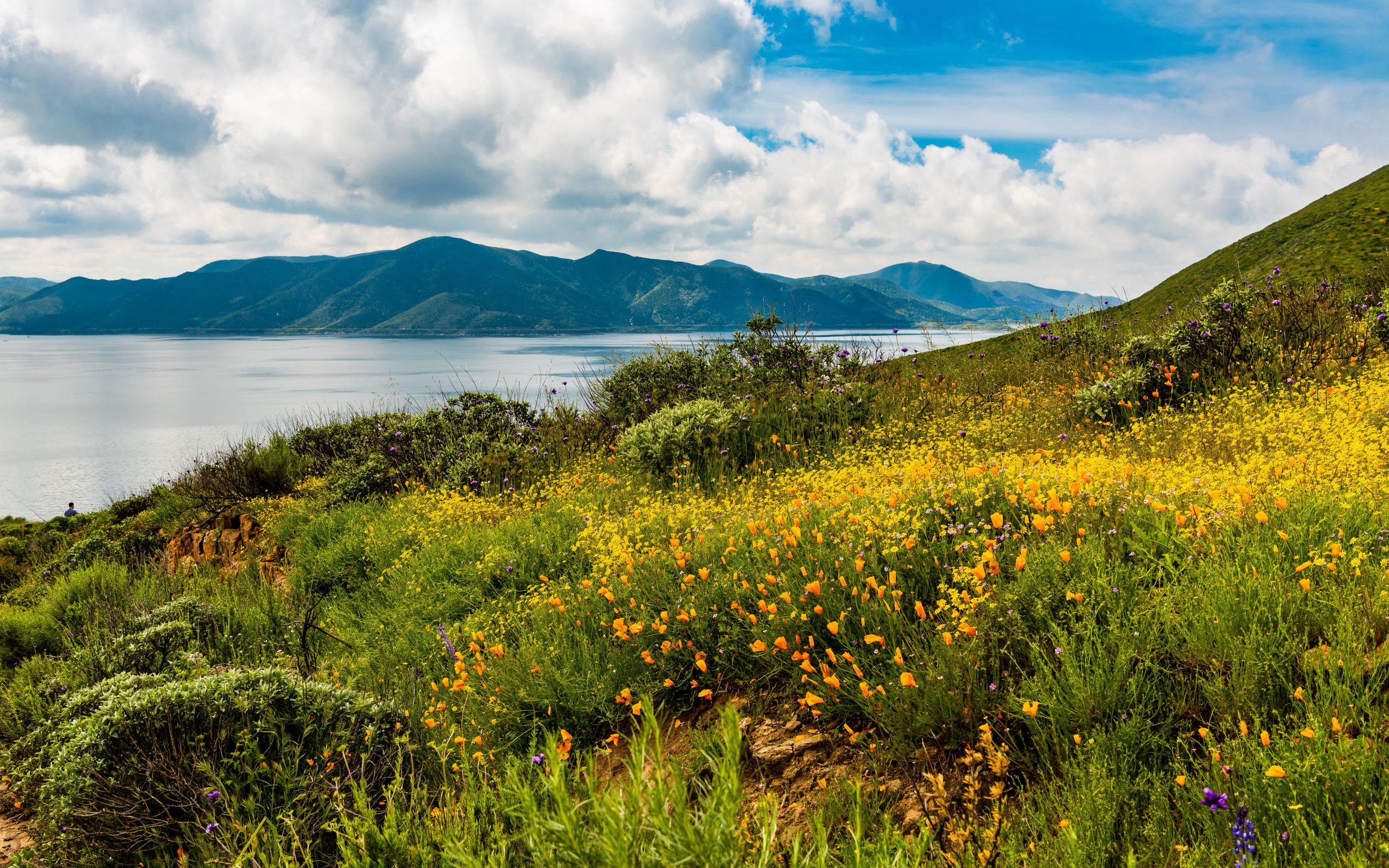 Зеленая трава на берегу озера у гор под голубым небом с облаками 
