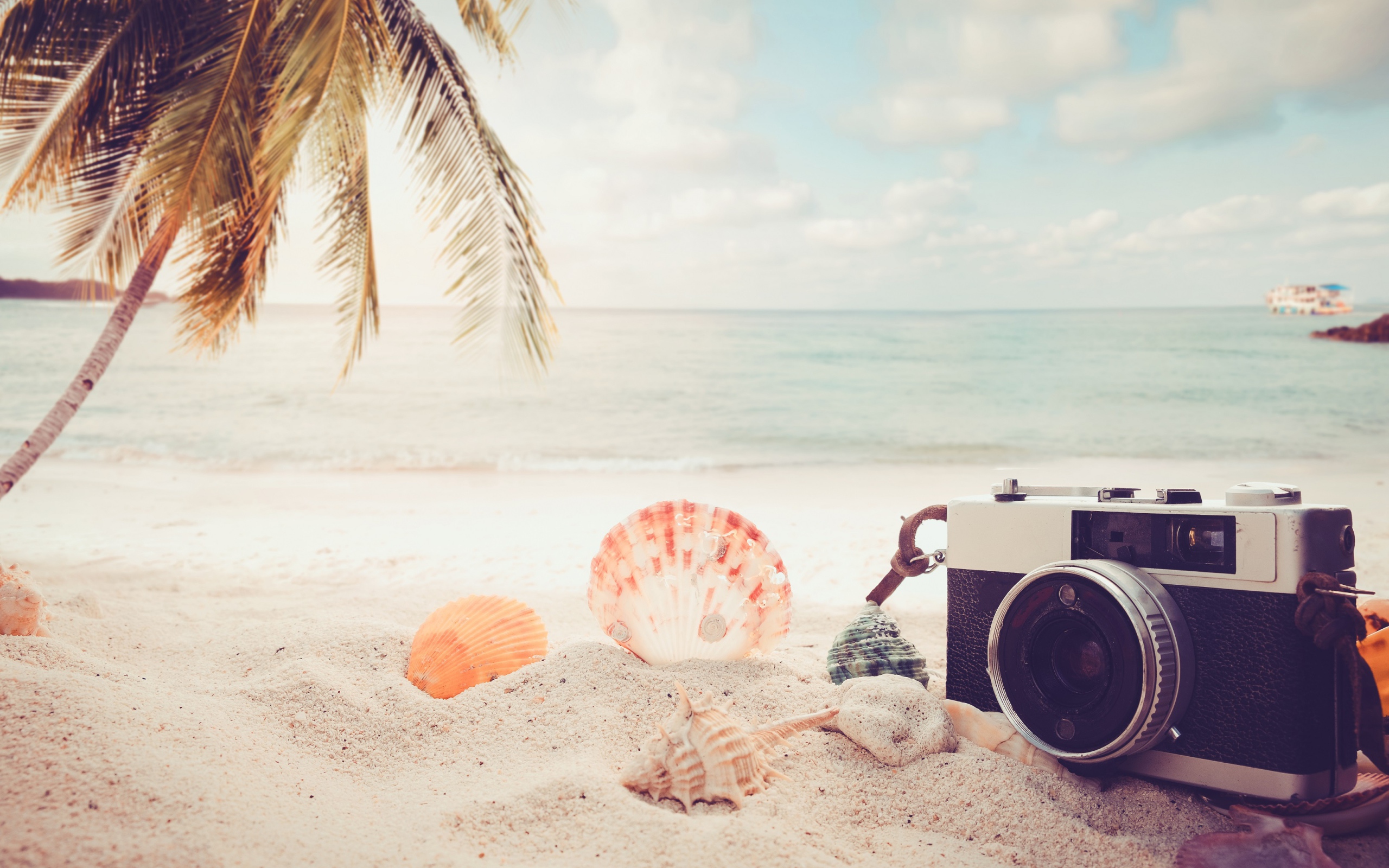Фотоаппарат на пляже с ракушками у моря