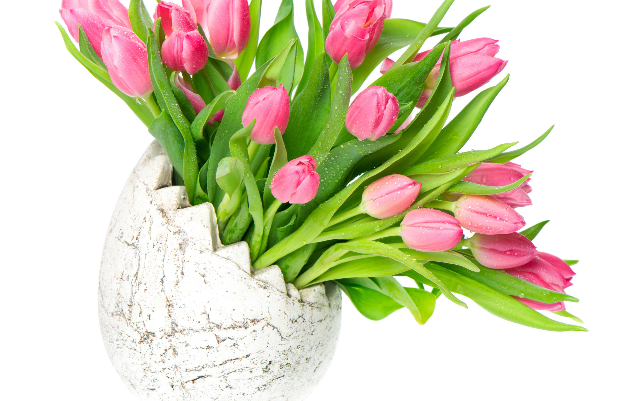 Букет розовых тюльпанов в вазе на белом фоне