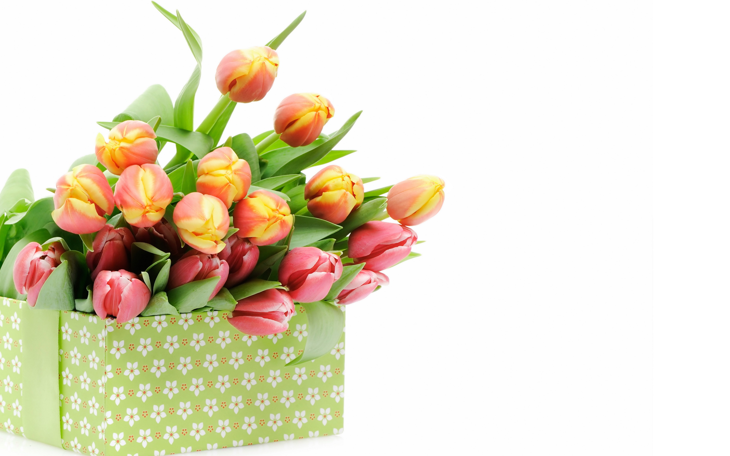Букет нежных тюльпанов в коробке на белом фоне