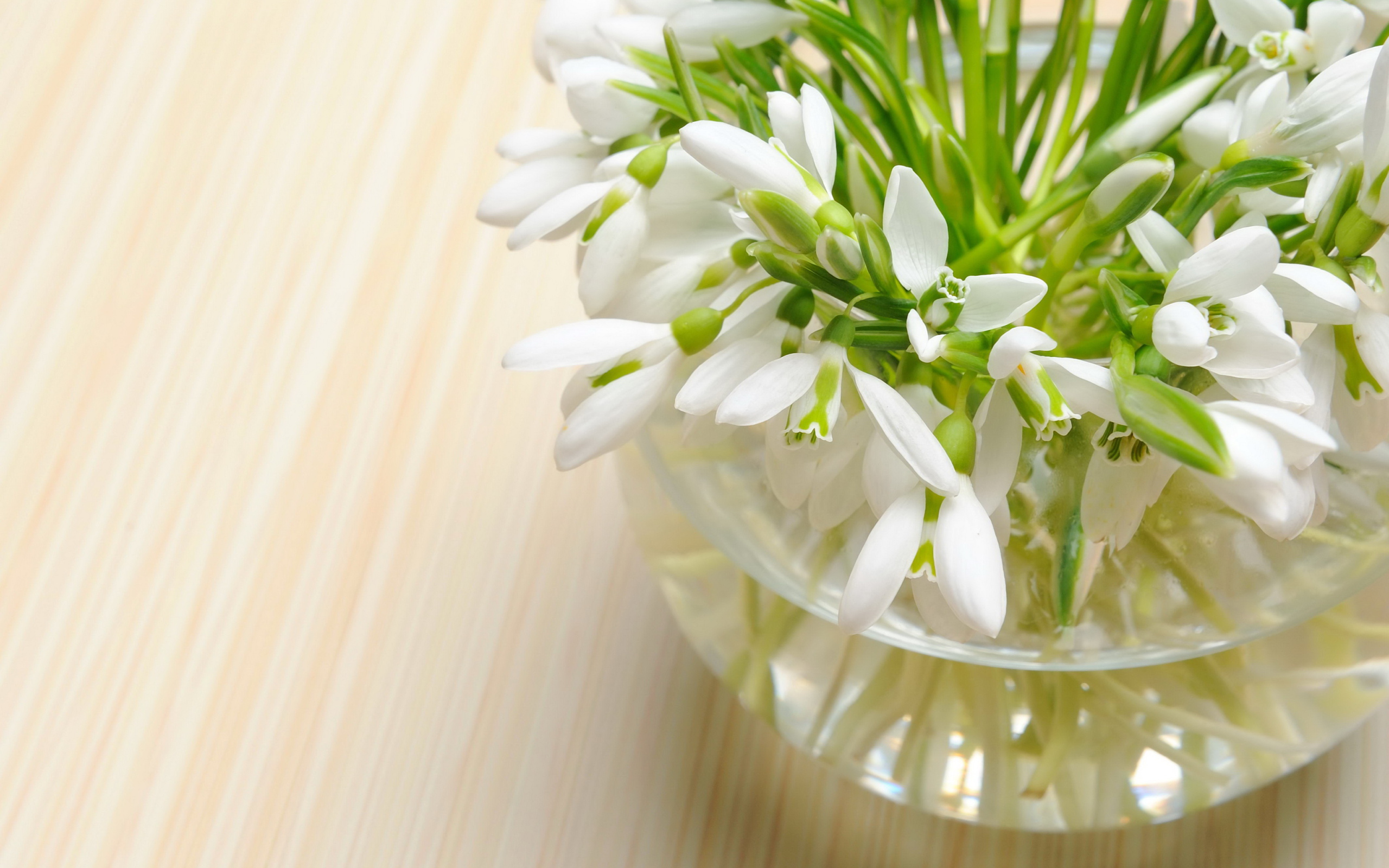 Нежные весенние первоцветы подснежники в стеклянной вазе