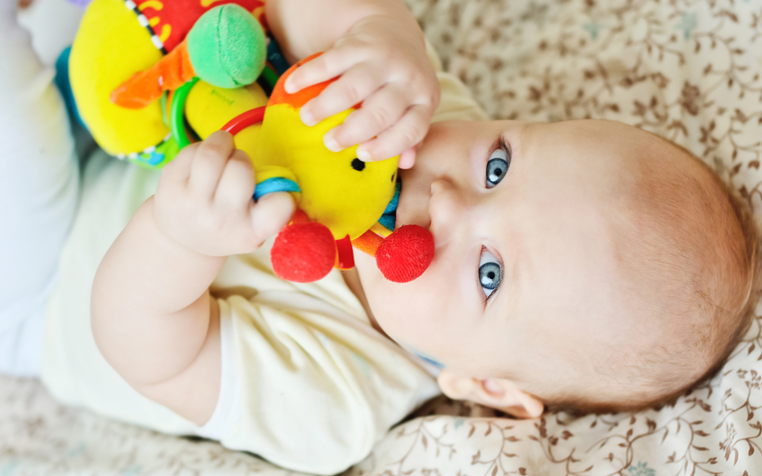 Маленький голубоглазый ребенок грызет игрушку