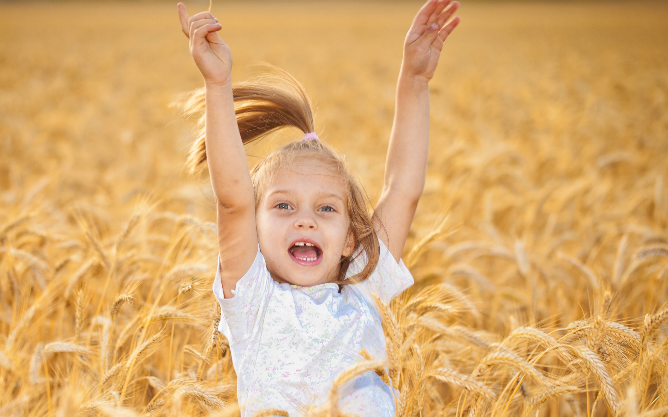 Маленькая веселая девочка в желтой пшенице