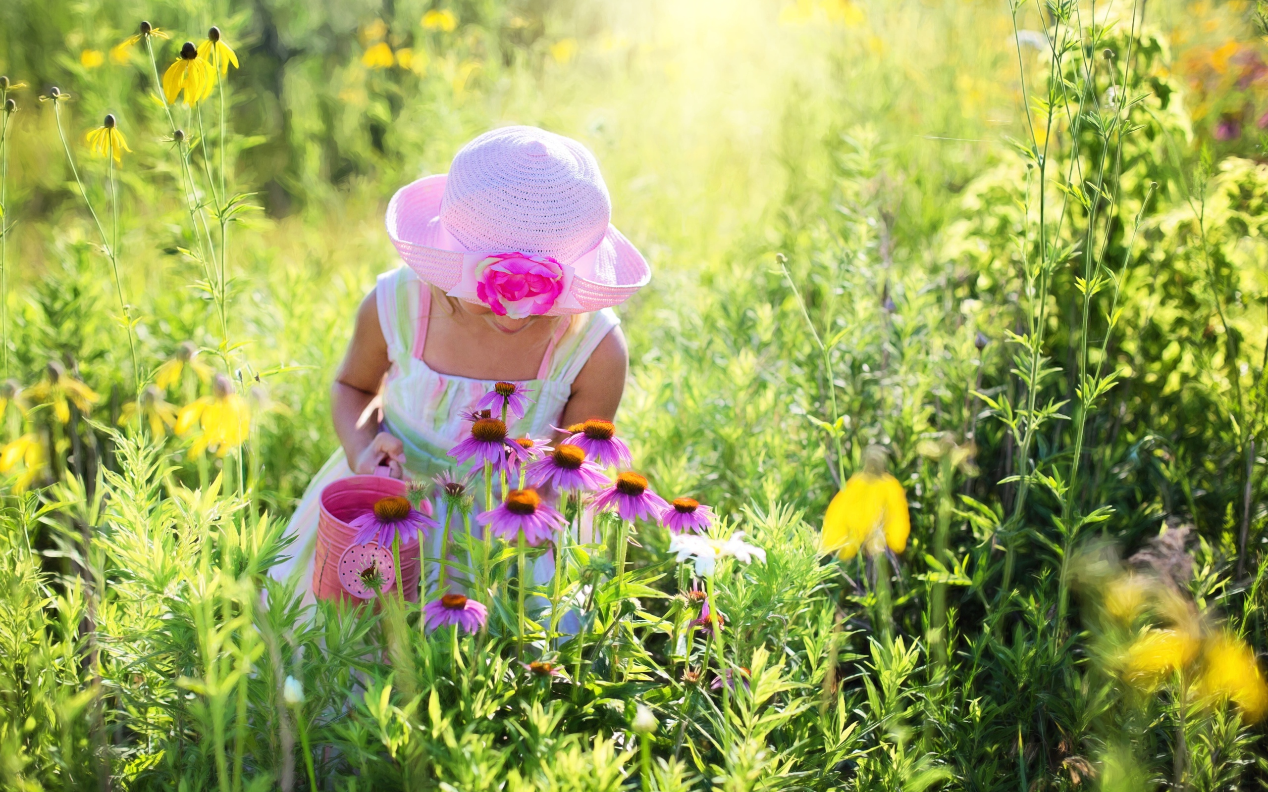 Маленькая девочка на поляне с розовыми цветами эхинацеи 