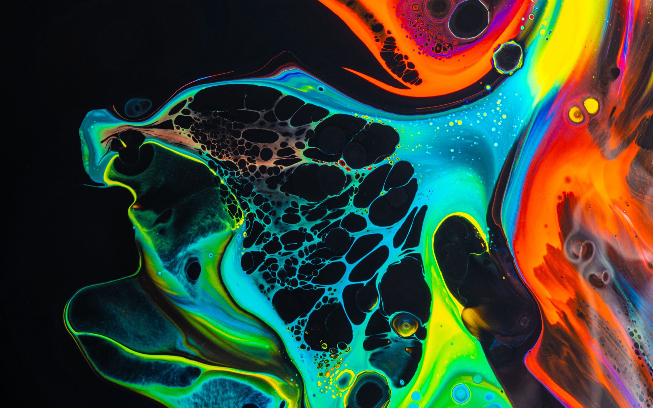 Разводы разноцветной краски на черном фоне