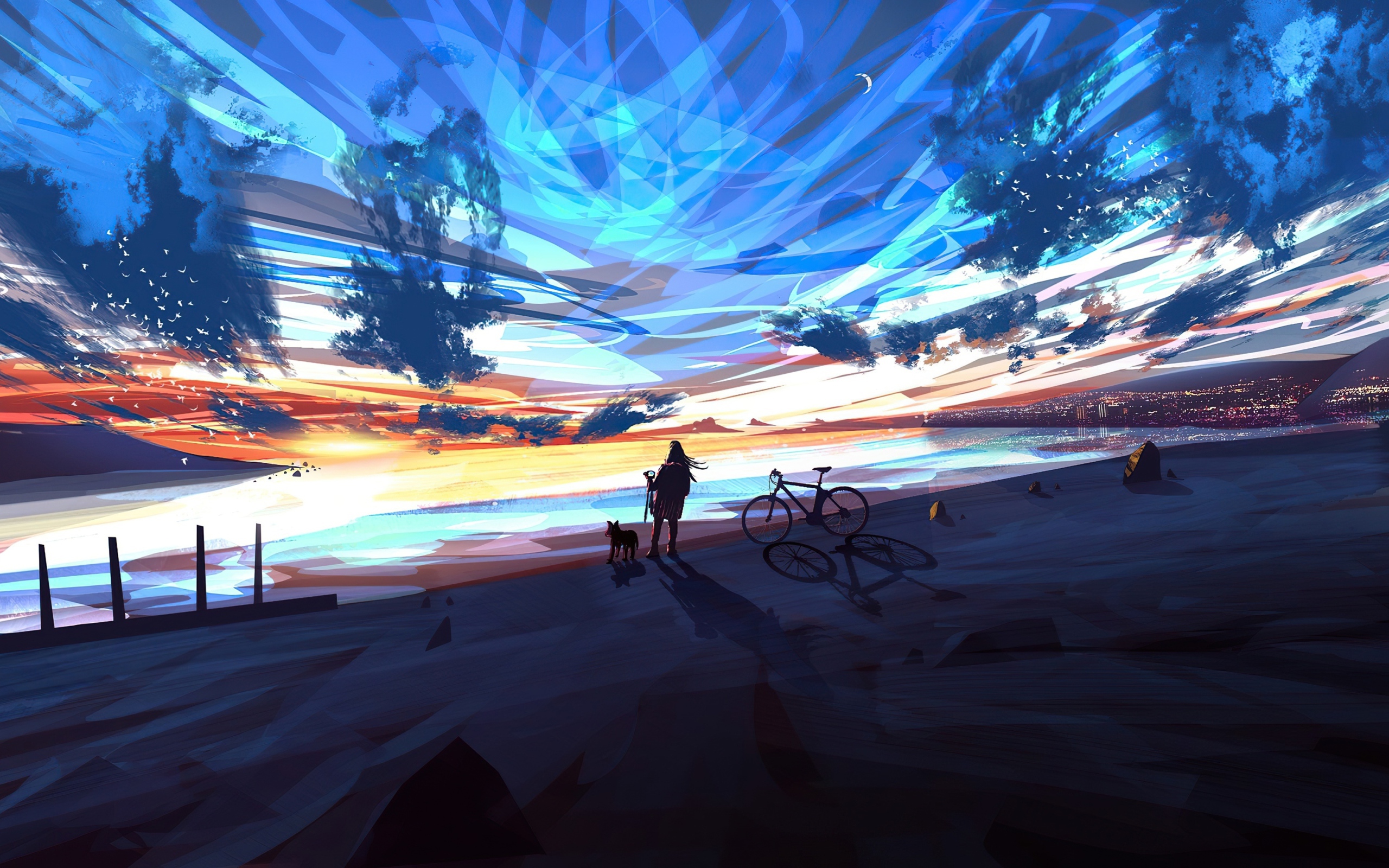 Anime girl looking at the fantastic sky Desktop wallpapers 2560x1600