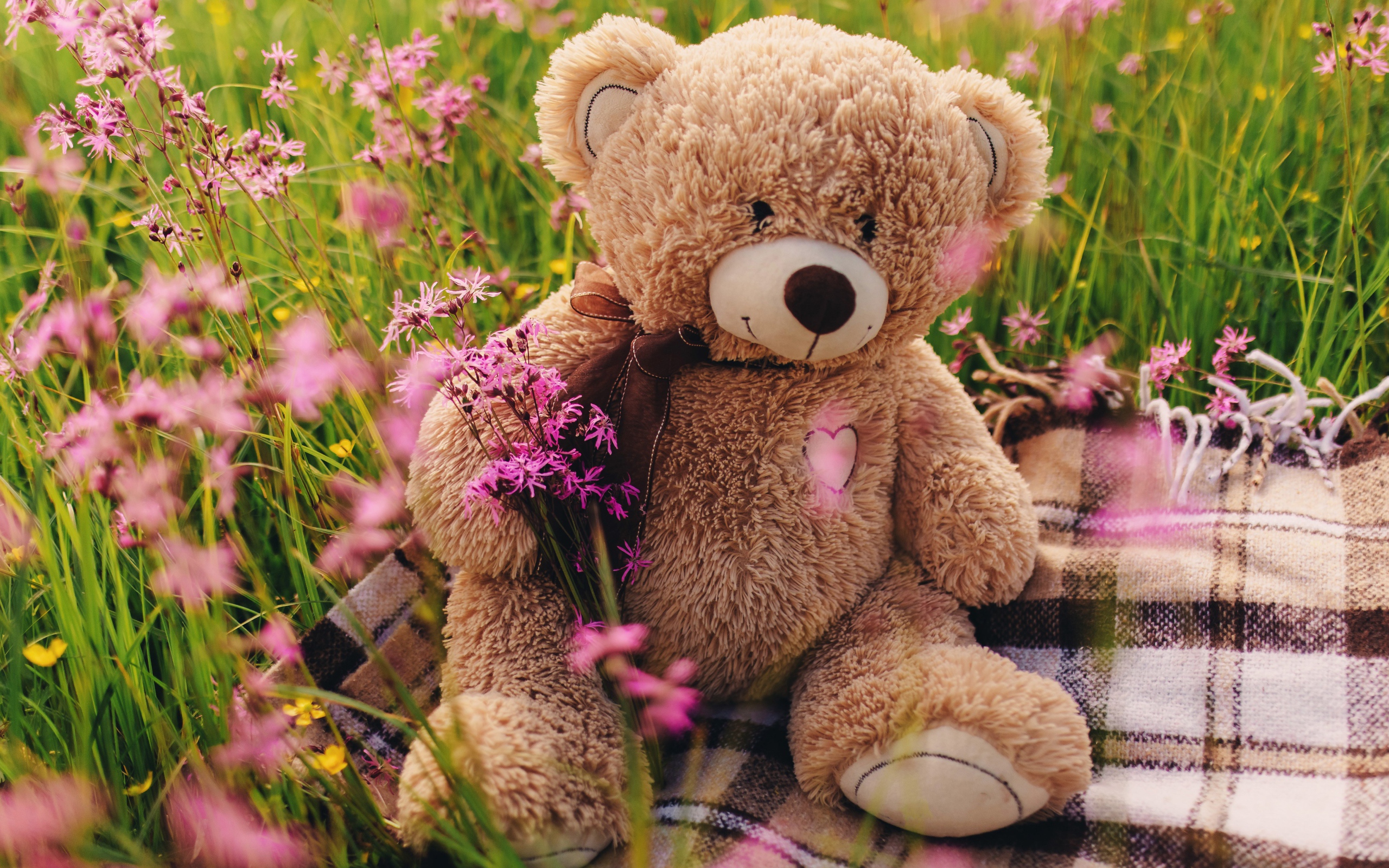 Медвежонок Тедди сидит в зеленой траве 