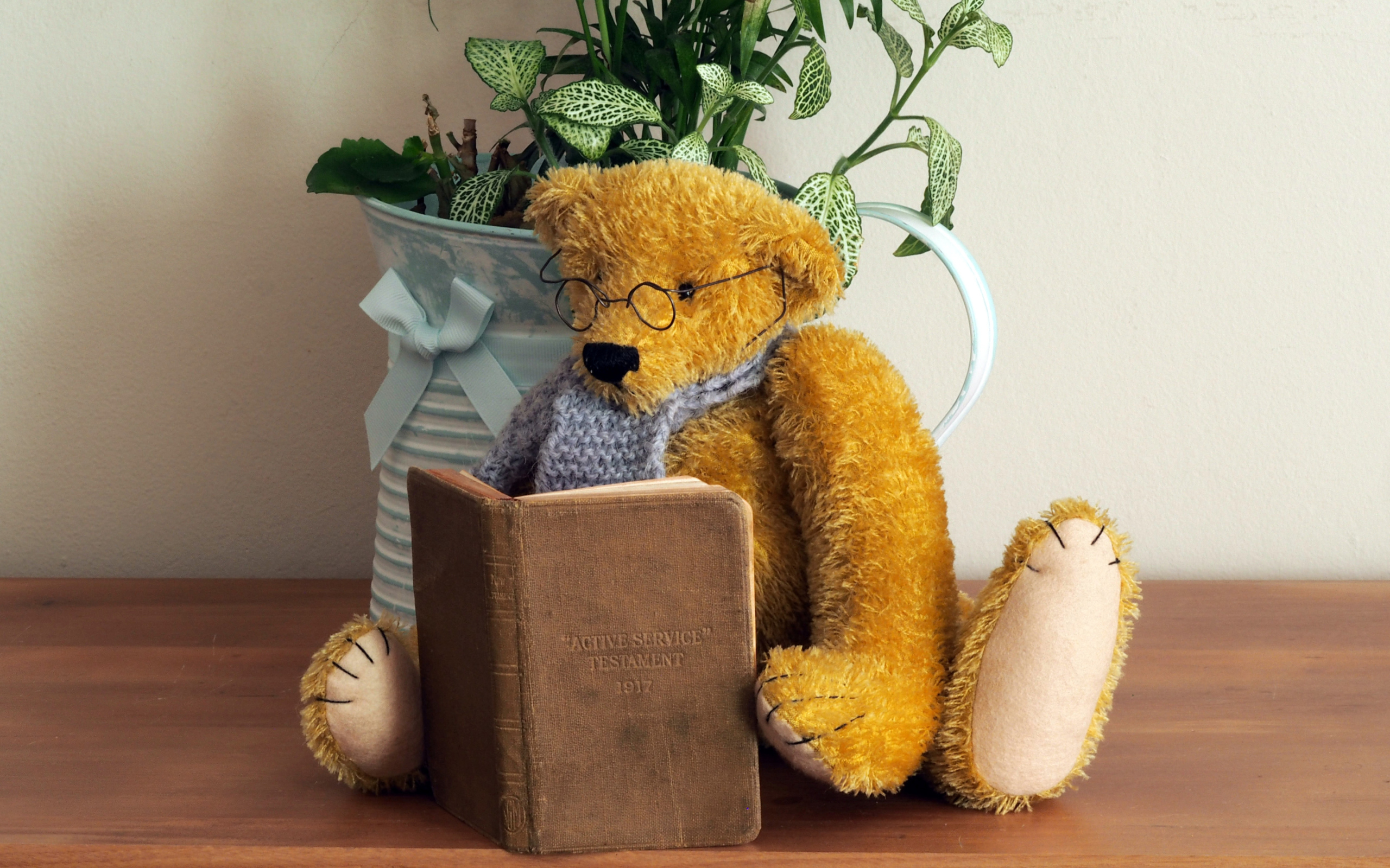 Медвежонок Тедди в очках с книгой на полке