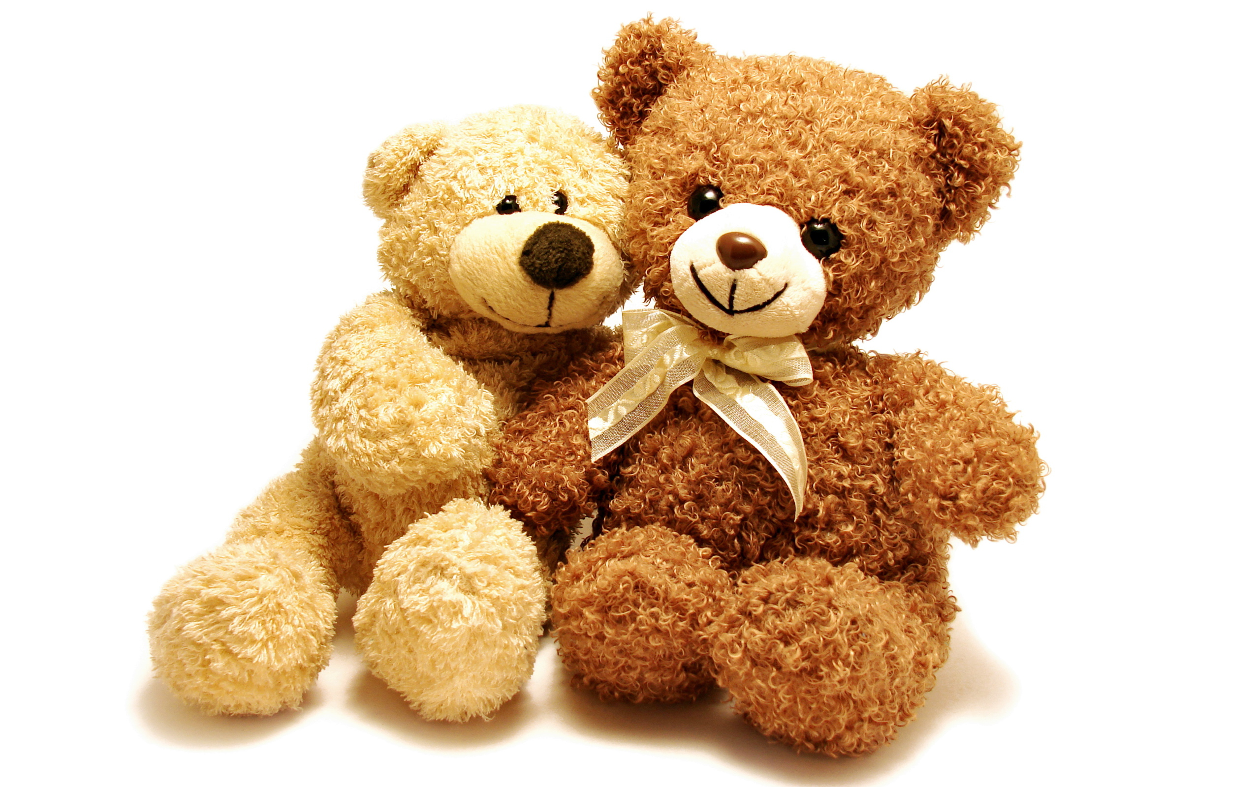 Two teddy bears on a white background