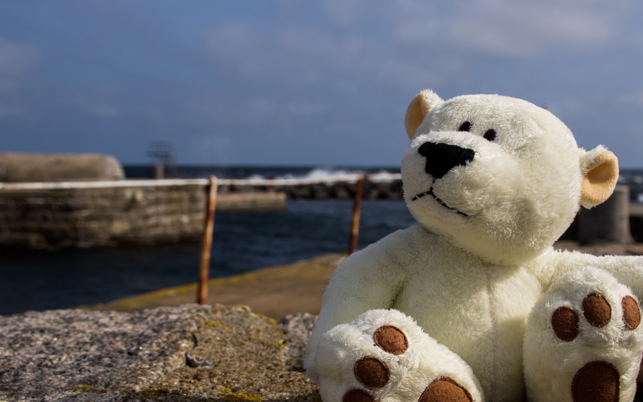 Белый плюшевый медведь сидит на камне у моря
