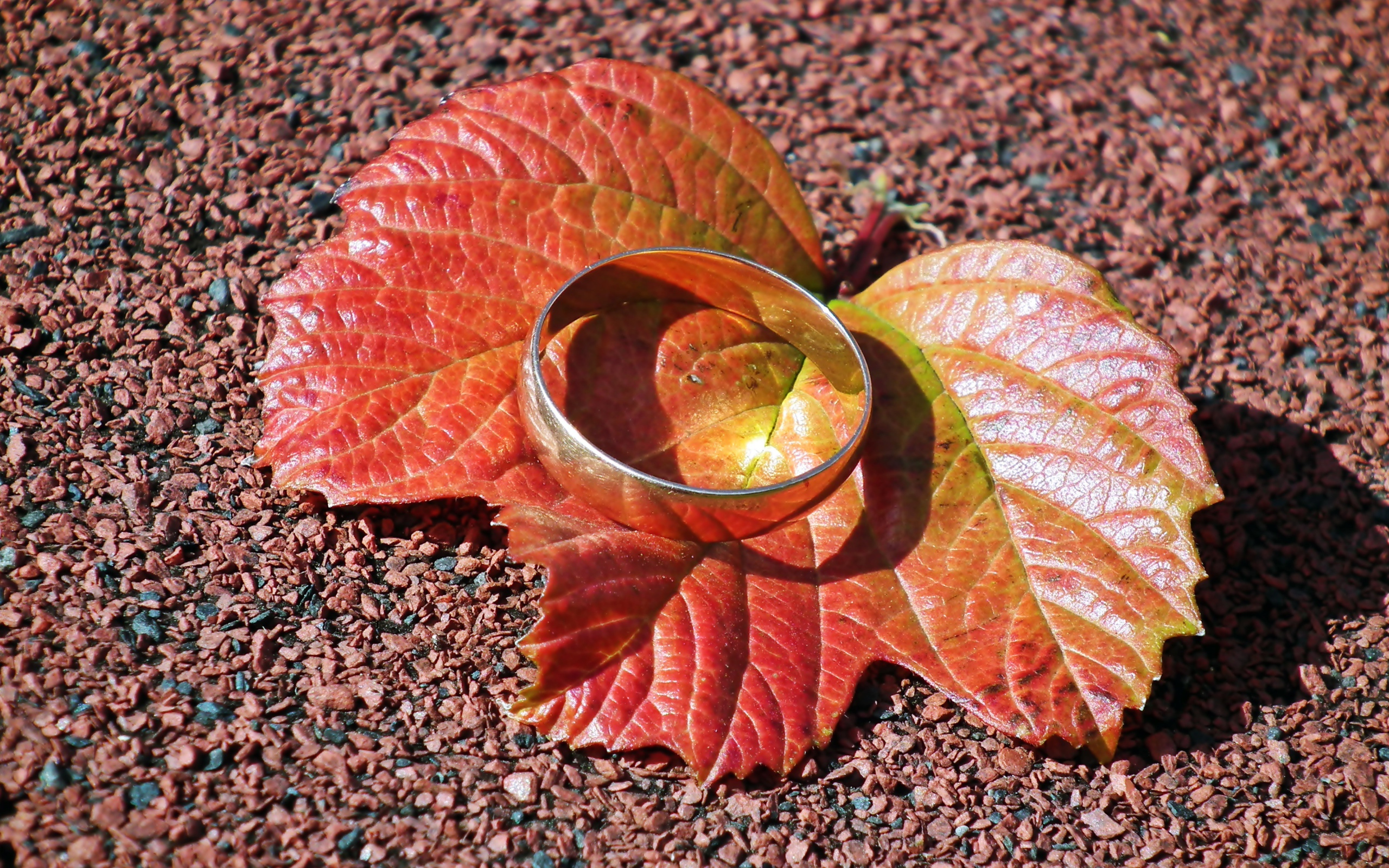 Серебряное кольцо лежит на оранжевом листе