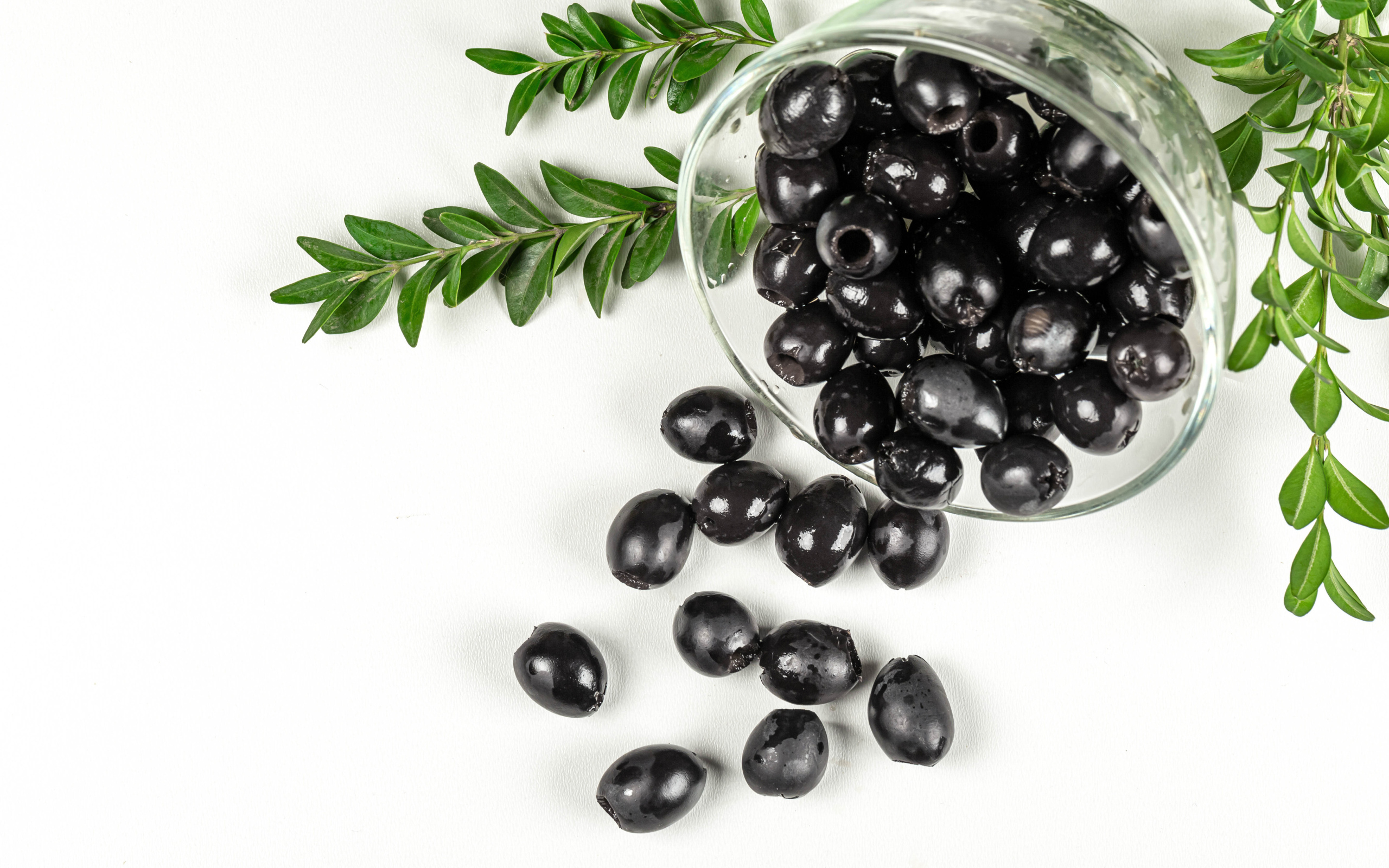 Черные маслины с розмарином на белом фоне